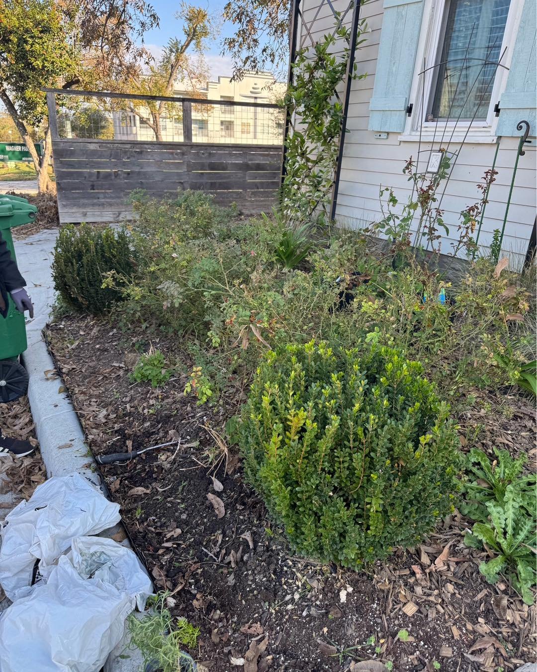Throwback Thursday to this maintenance project in December 20 24. Our client wanted some maintenance completed to spruce up their lawn. We cleared out overgrowth, trimmed trees, and removed dead plants. 

This project gave the garden a fresh look jus