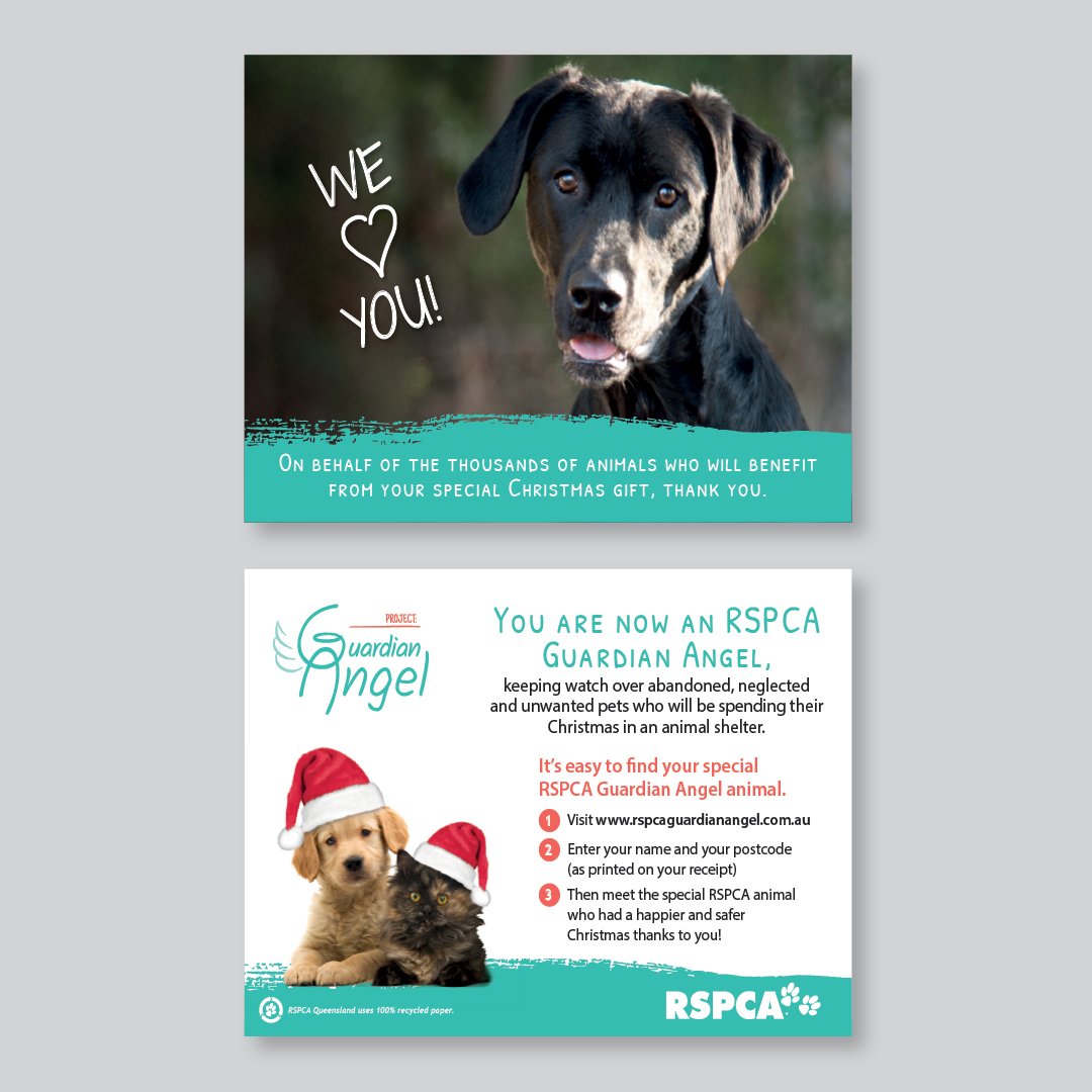 Portfolio_RSPCA_sqaures21.jpg