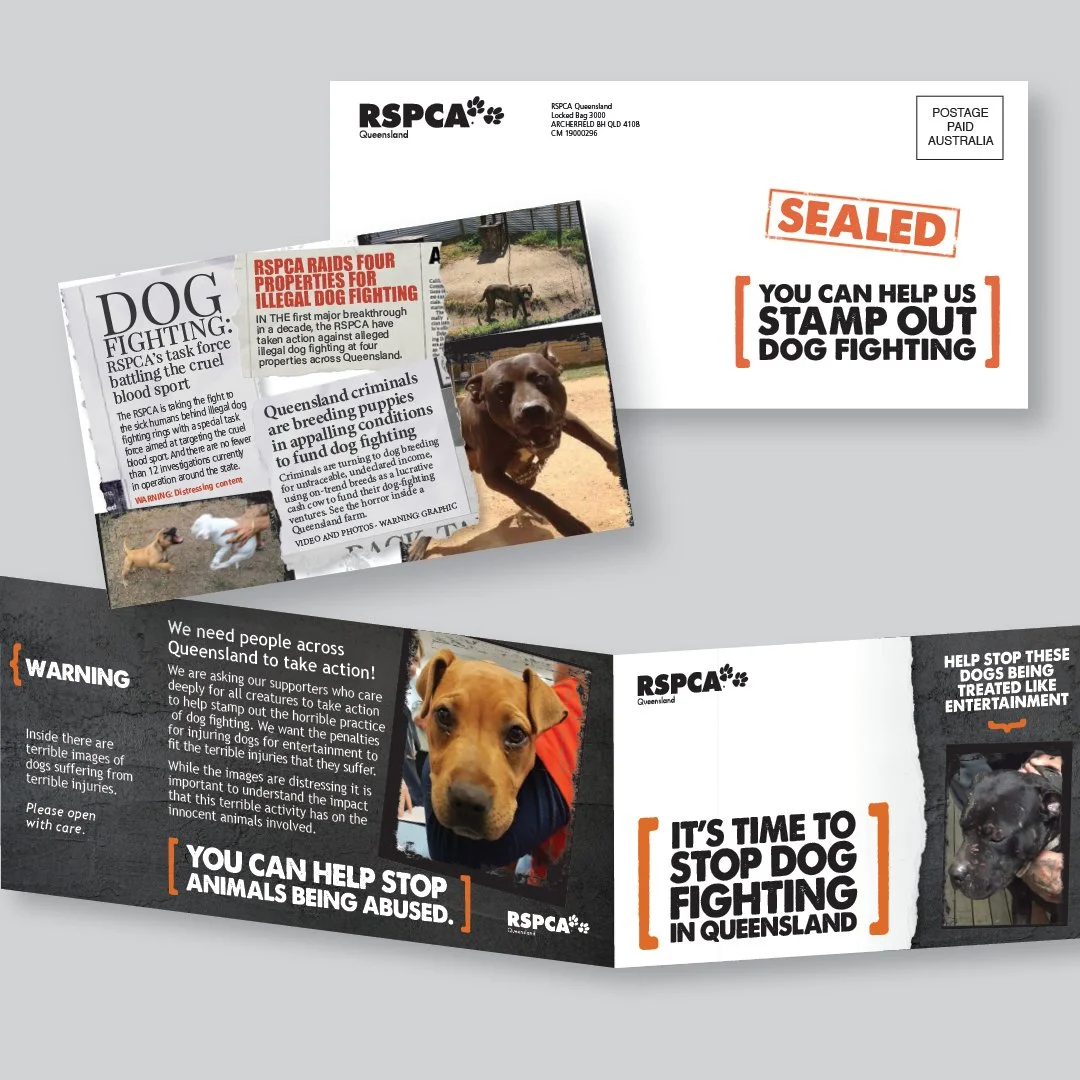 Portfolio_RSPCA_sqaures19.jpg