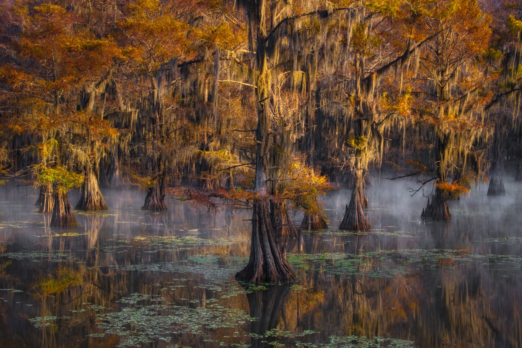 Bayou2021.1800px-30.jpg