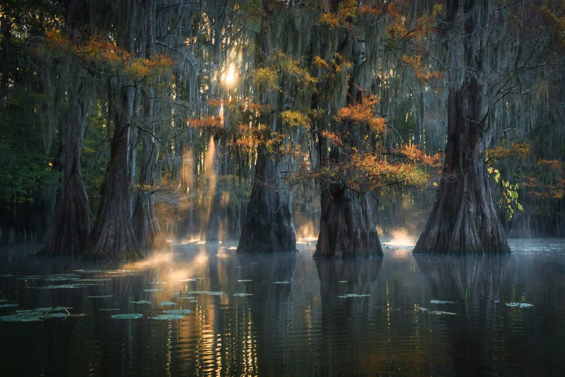 Bayou2021.1800px-32.jpg