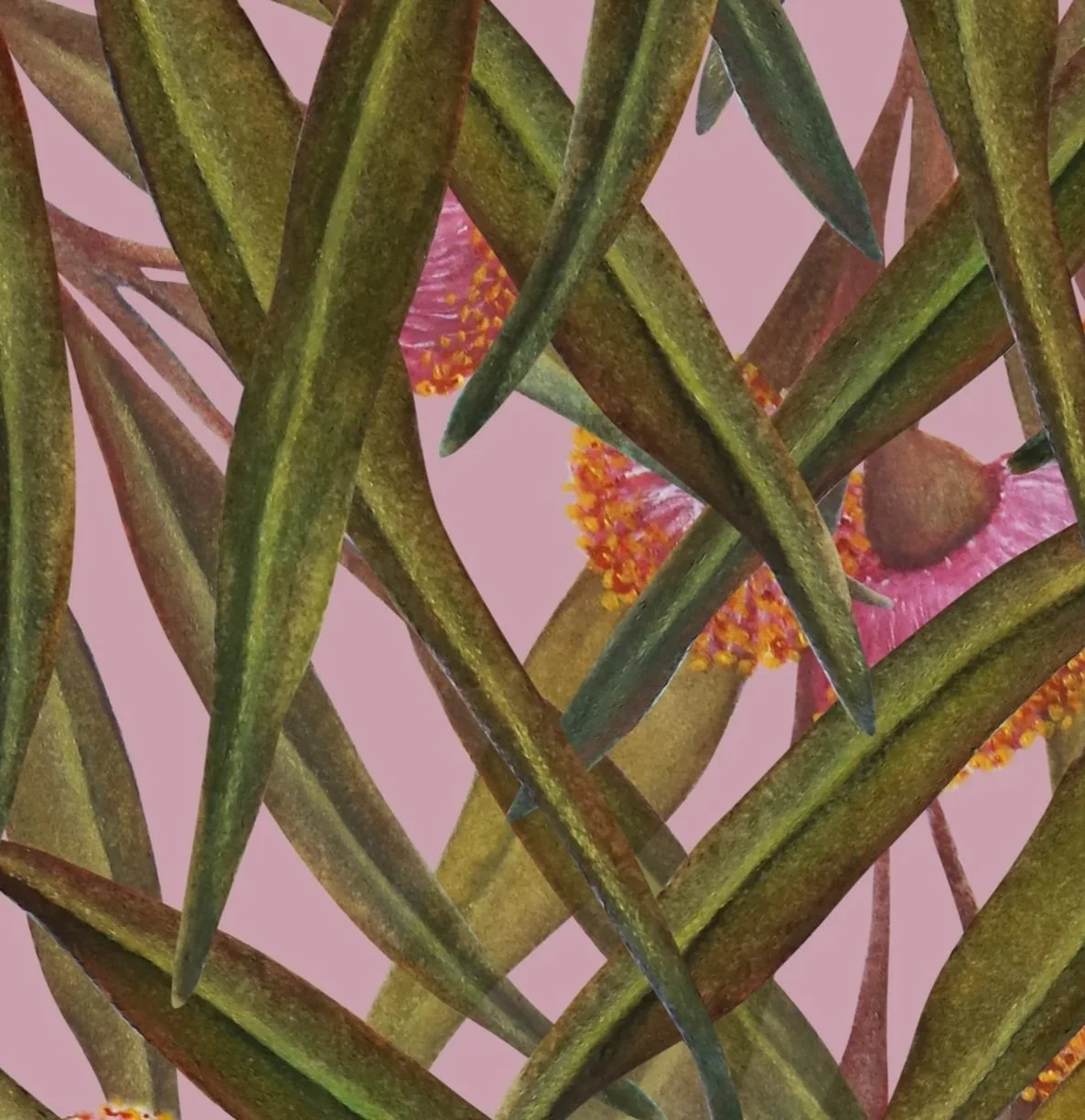 close up shot of hand-painted Australian flowering gum artwork featuring pink blossoms and eucalyptus leaves arranged in a seamless botanical pattern.
