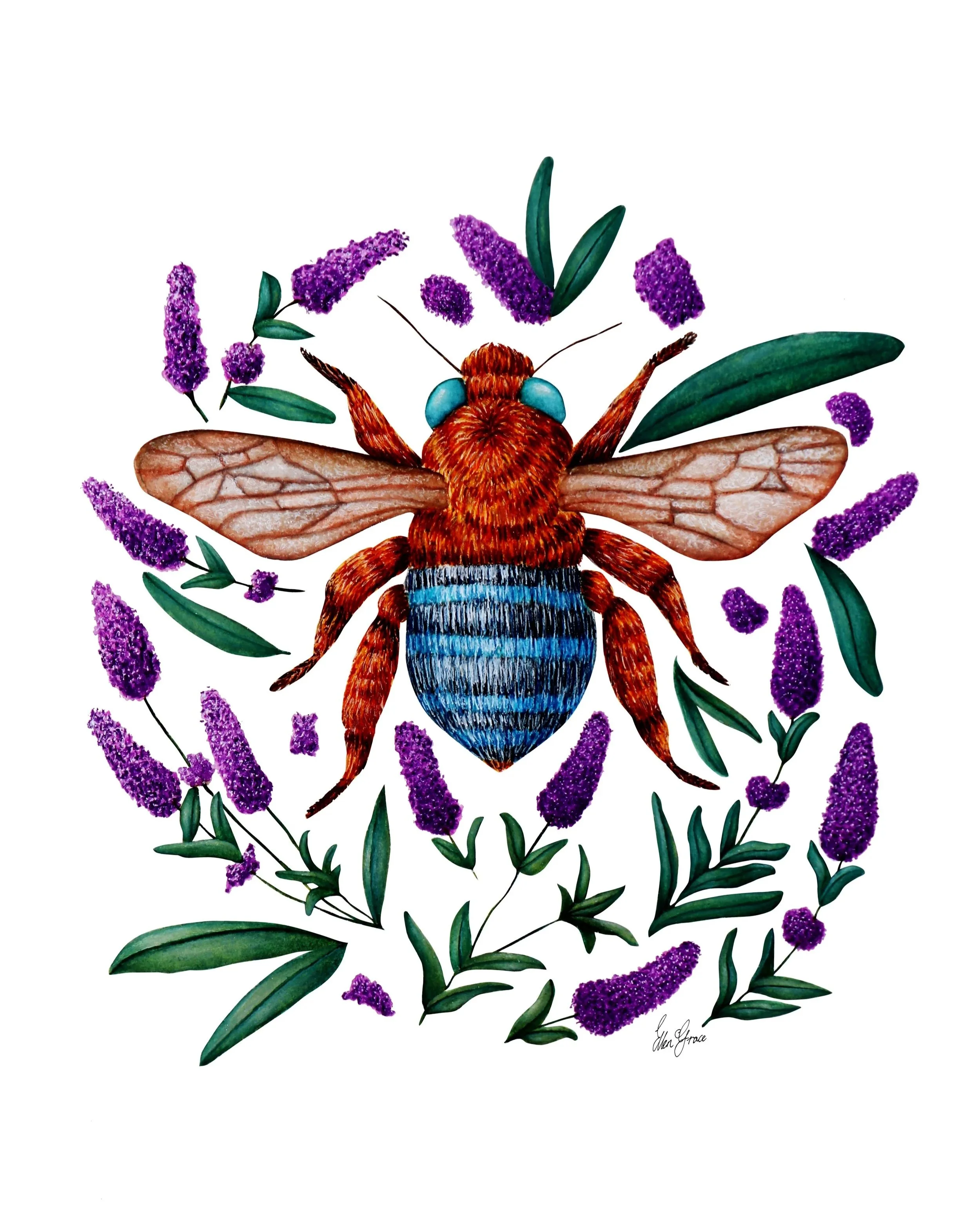 illustration of a detailed bee surrounded by lavender sprigs
