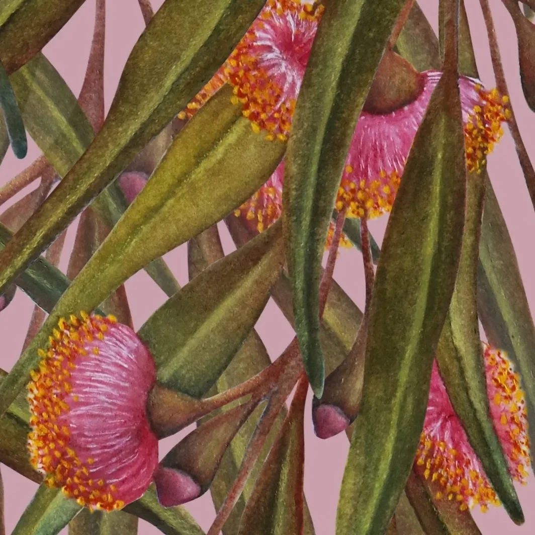 close up shot of hand-painted Australian flowering gum artwork featuring pink blossoms and eucalyptus leaves arranged in a seamless botanical pattern.