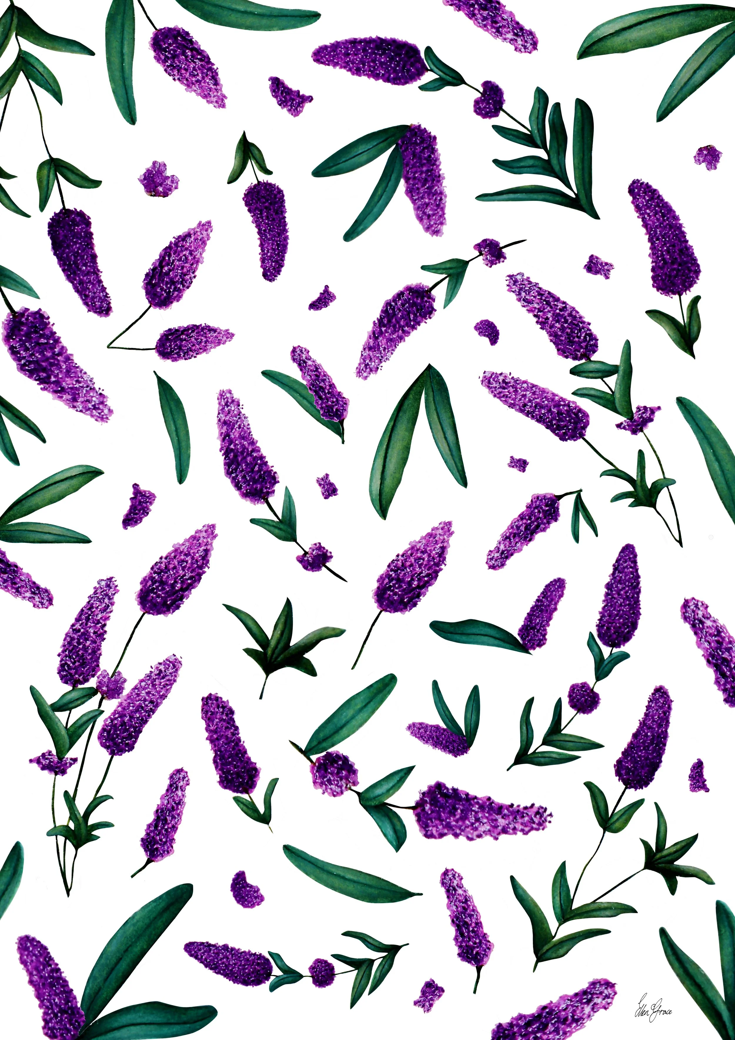 Hand-painted lavender artwork showing purple flower spikes and green leaves scattered across a soft cream background.