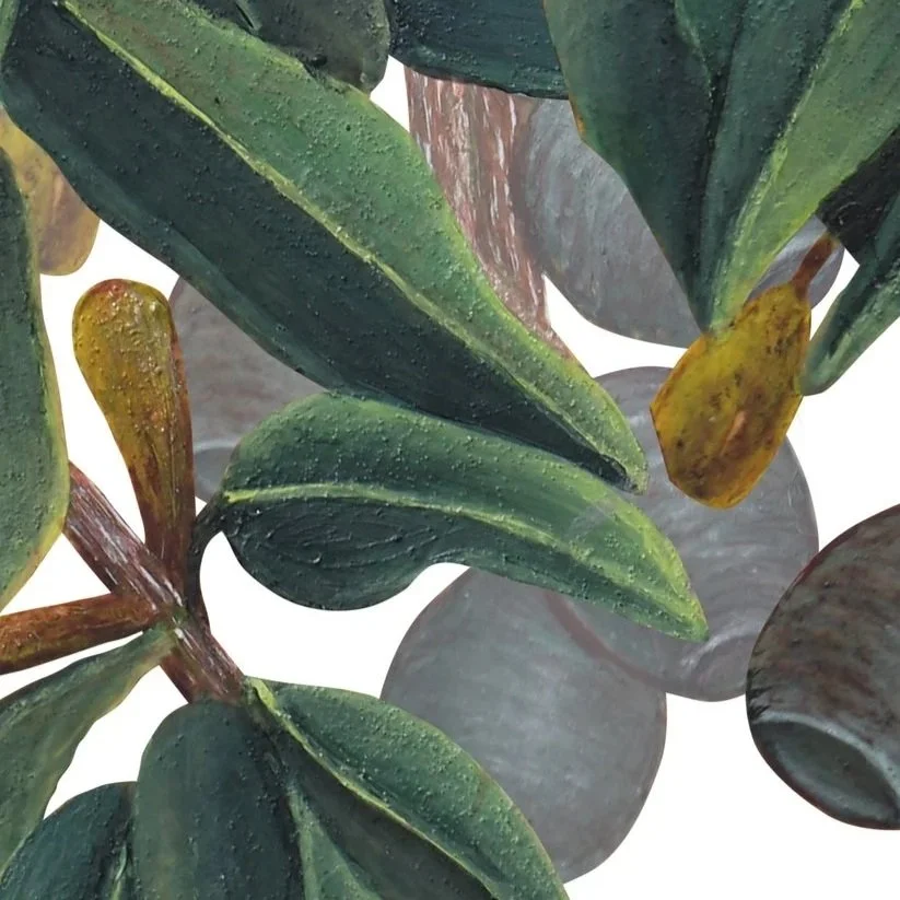 Close up of botanical illustration of eucalyptus leaves and gumnuts arranged in a foliage pattern.