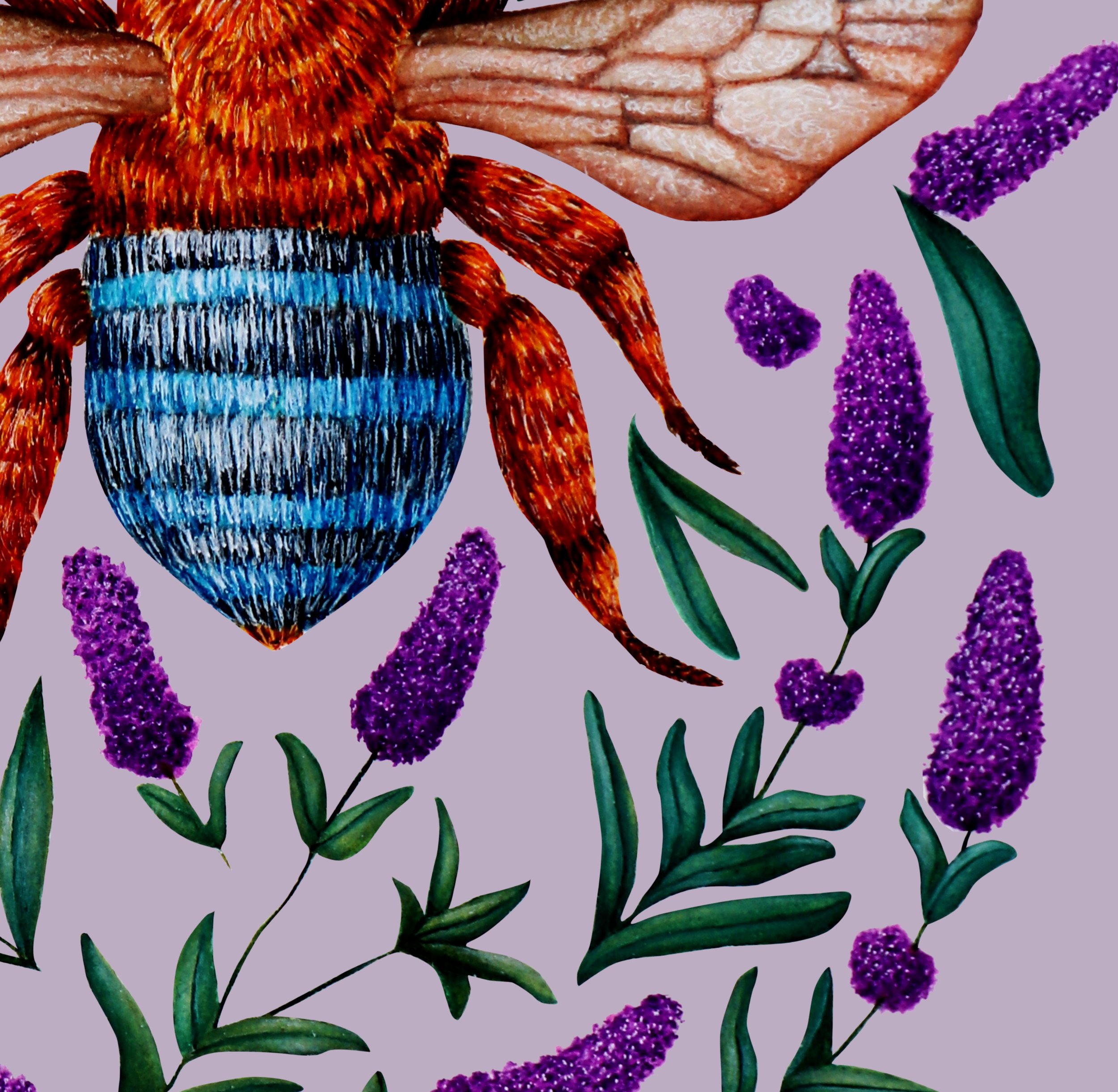 Detailed illustration of a bee surrounded by lavender flowers and green leaves on a soft lavender background close up.