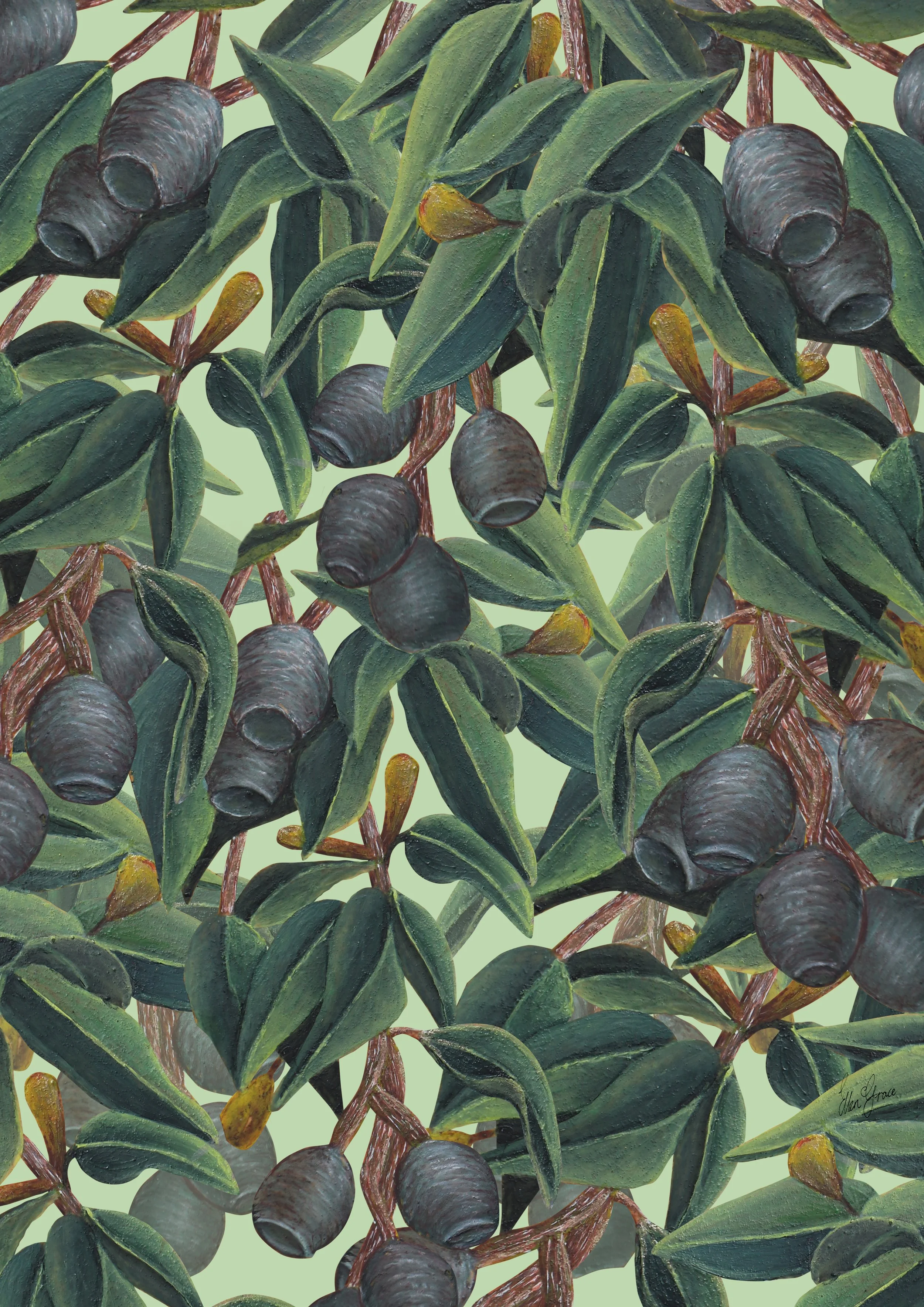 Fine art print of hand-painted Australian eucalyptus foliage artwork featuring gum leaves and seed pods arranged in a seamless botanical pattern.