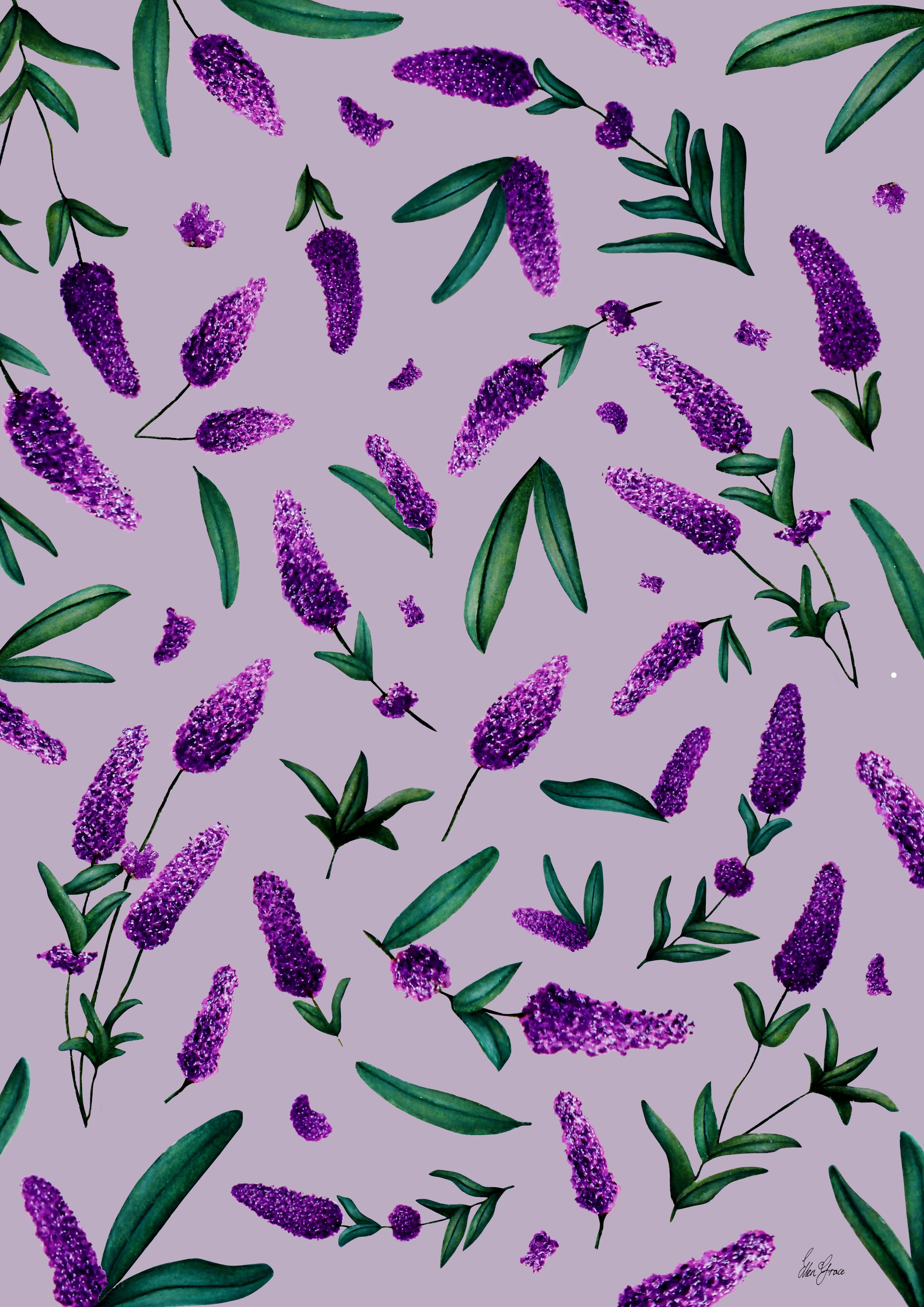 Hand-painted lavender artwork showing purple flower spikes and green leaves scattered across a soft lilac background.