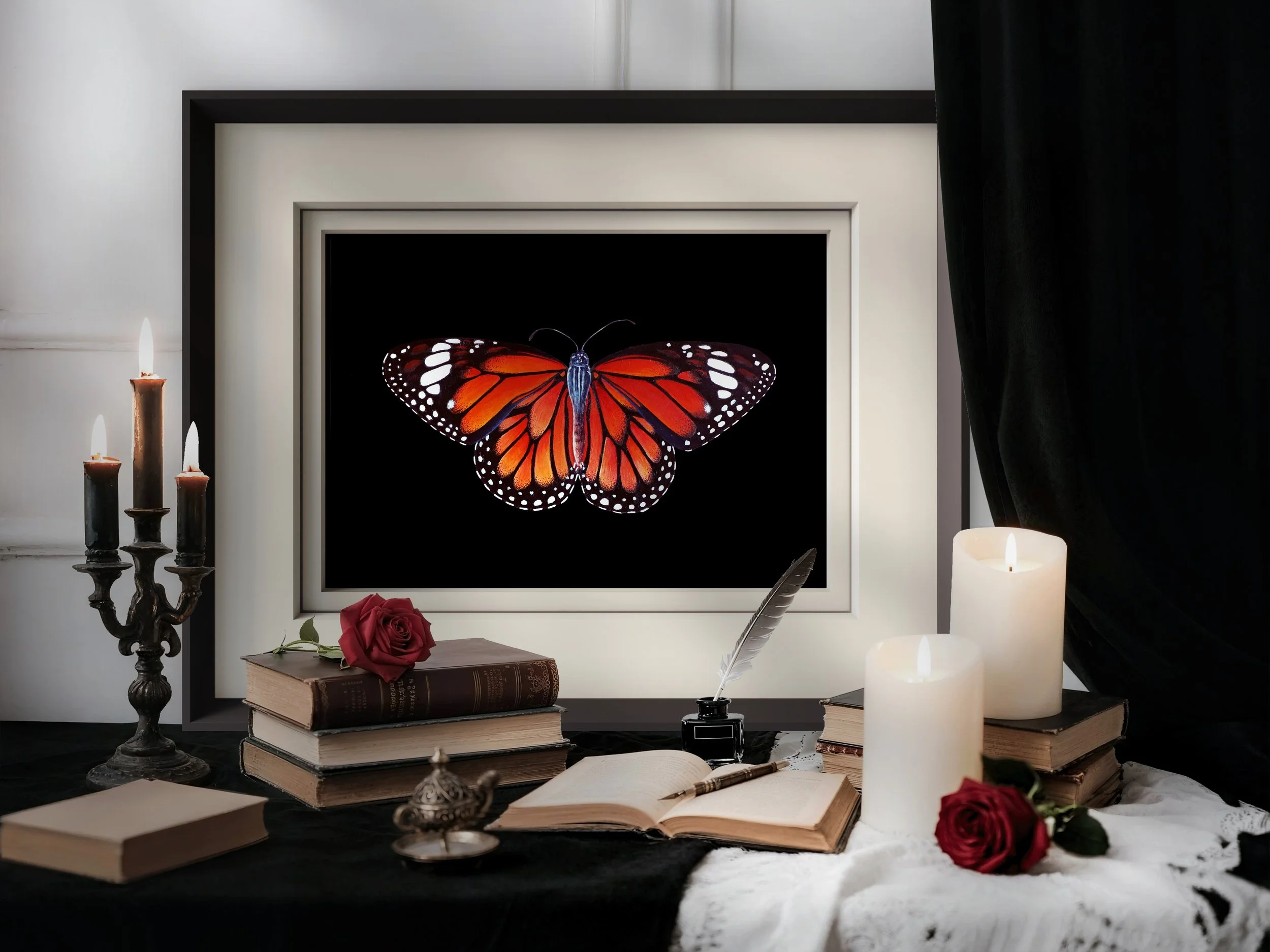 Framed Fine art print of a Monarch Butterfly with vivid orange and black wings on a deep black background, detailed insect illustration.