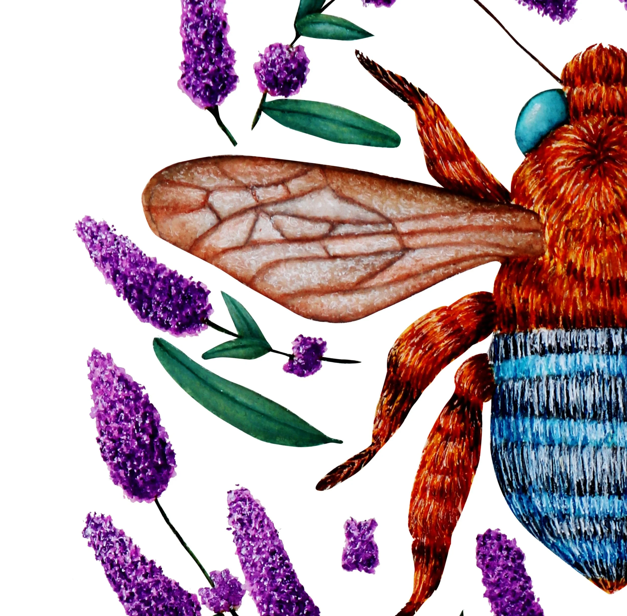 illustration of a detailed bee surrounded by lavender sprigs close up