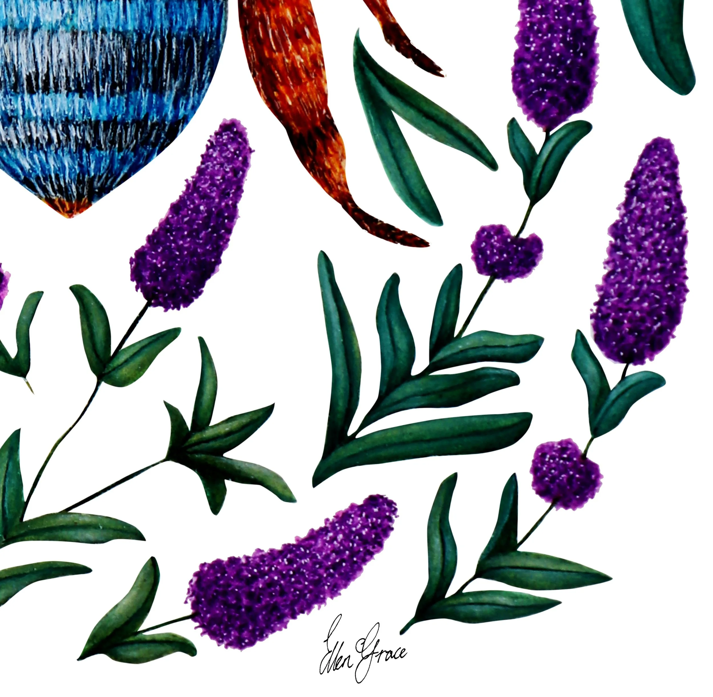 illustration of a detailed bee surrounded by lavender sprigs close up