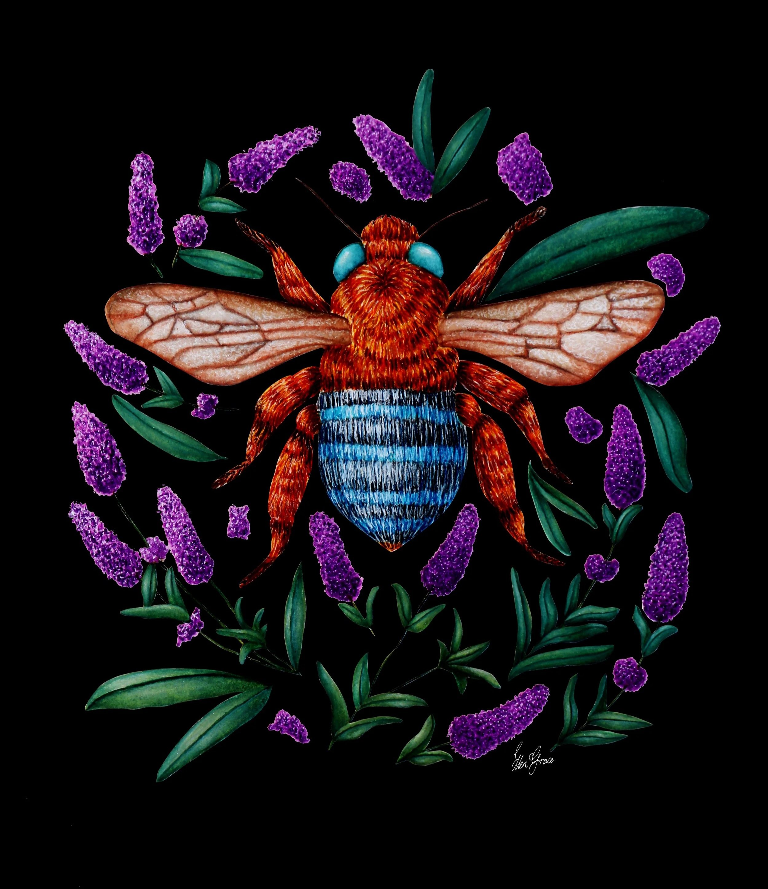 Detailed illustration of a bee surrounded by lavender flowers and green leaves on a black background.
