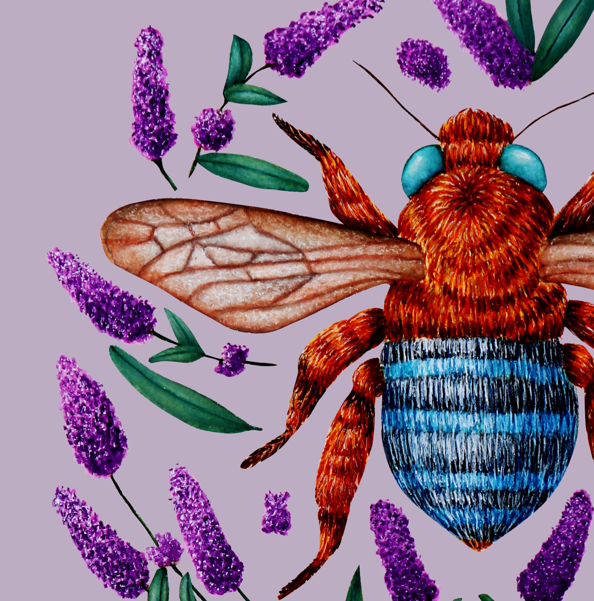 Detailed illustration of a bee surrounded by lavender flowers and green leaves on a soft lavender background close up.
