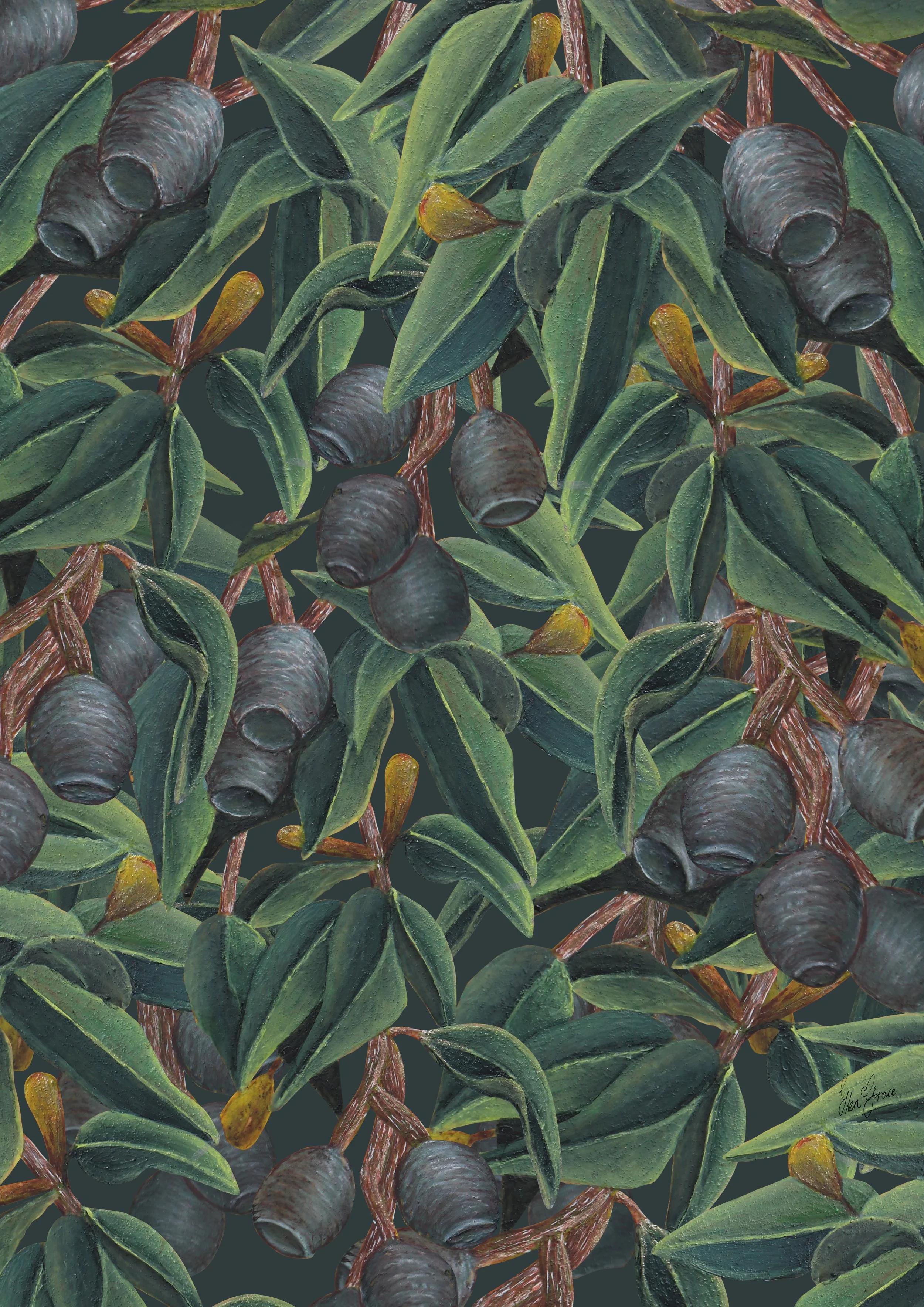 Botanical illustration of eucalyptus leaves and gumnuts arranged in a pattern on a deep emerald, green background.