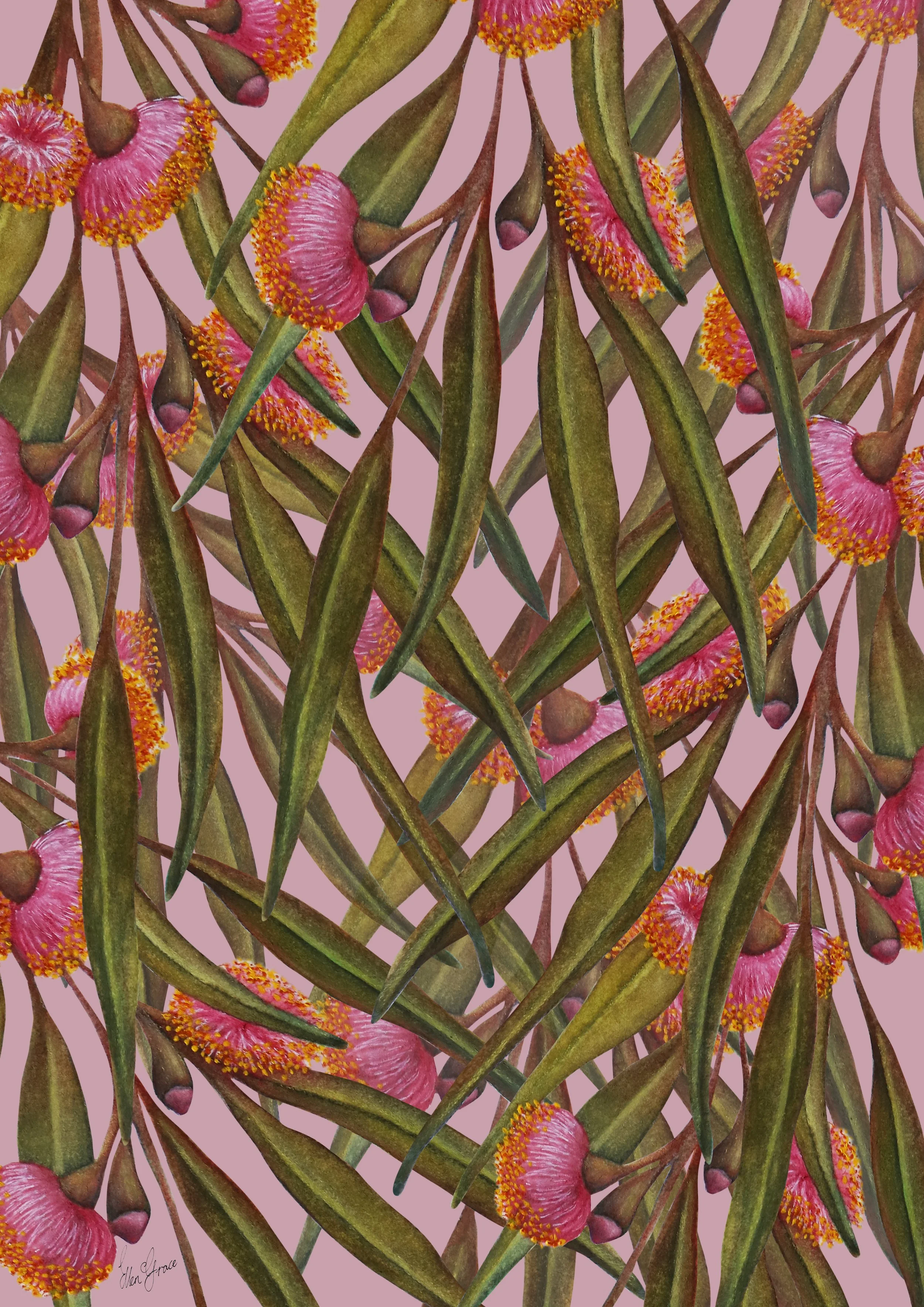 Hand-painted Australian flowering gum artwork featuring pink blossoms and eucalyptus leaves arranged in a seamless botanical pattern.