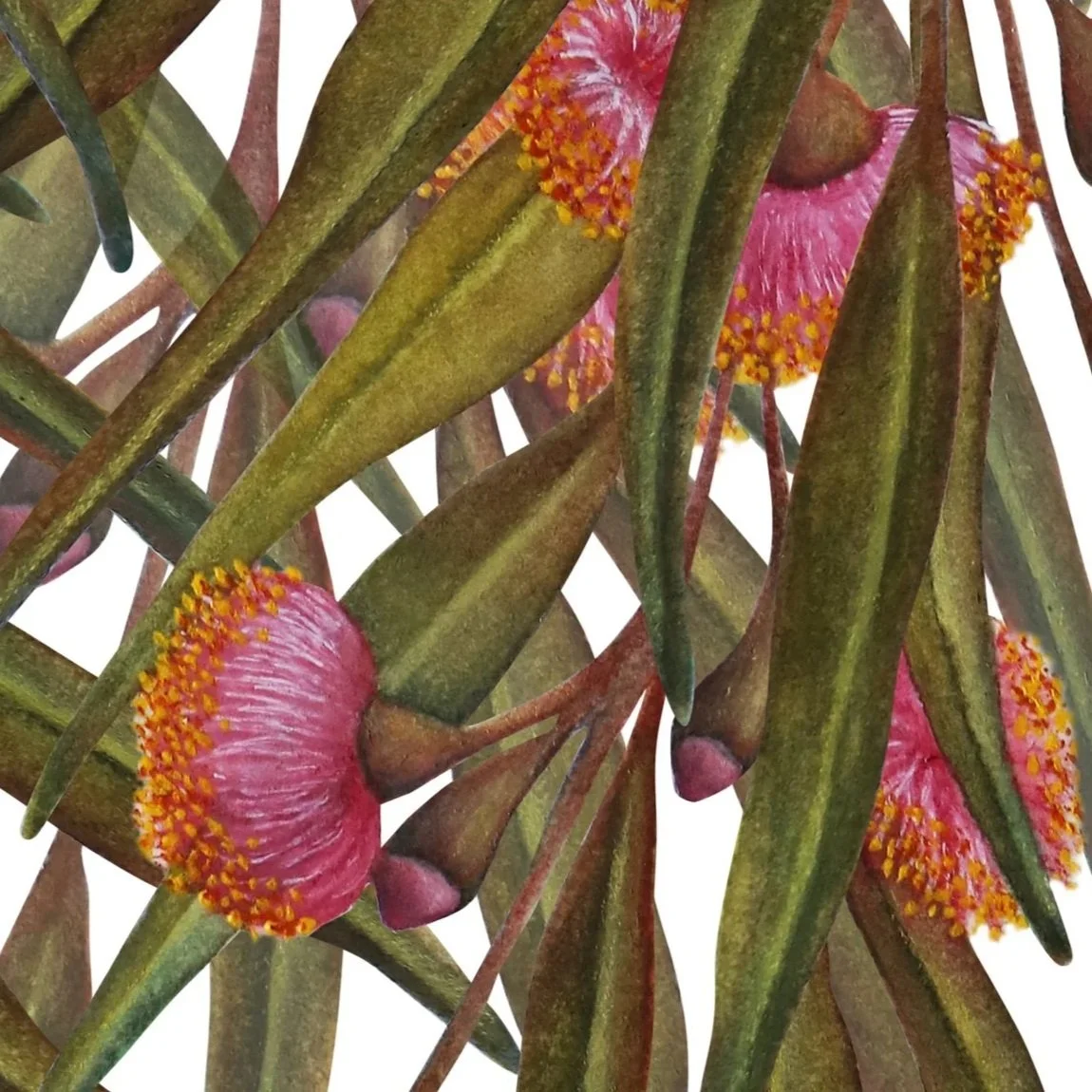 Close up of hand-painted Australian flowering gum artwork with pink blossoms and eucalyptus leaves arranged in a seamless botanical pattern on a white background.