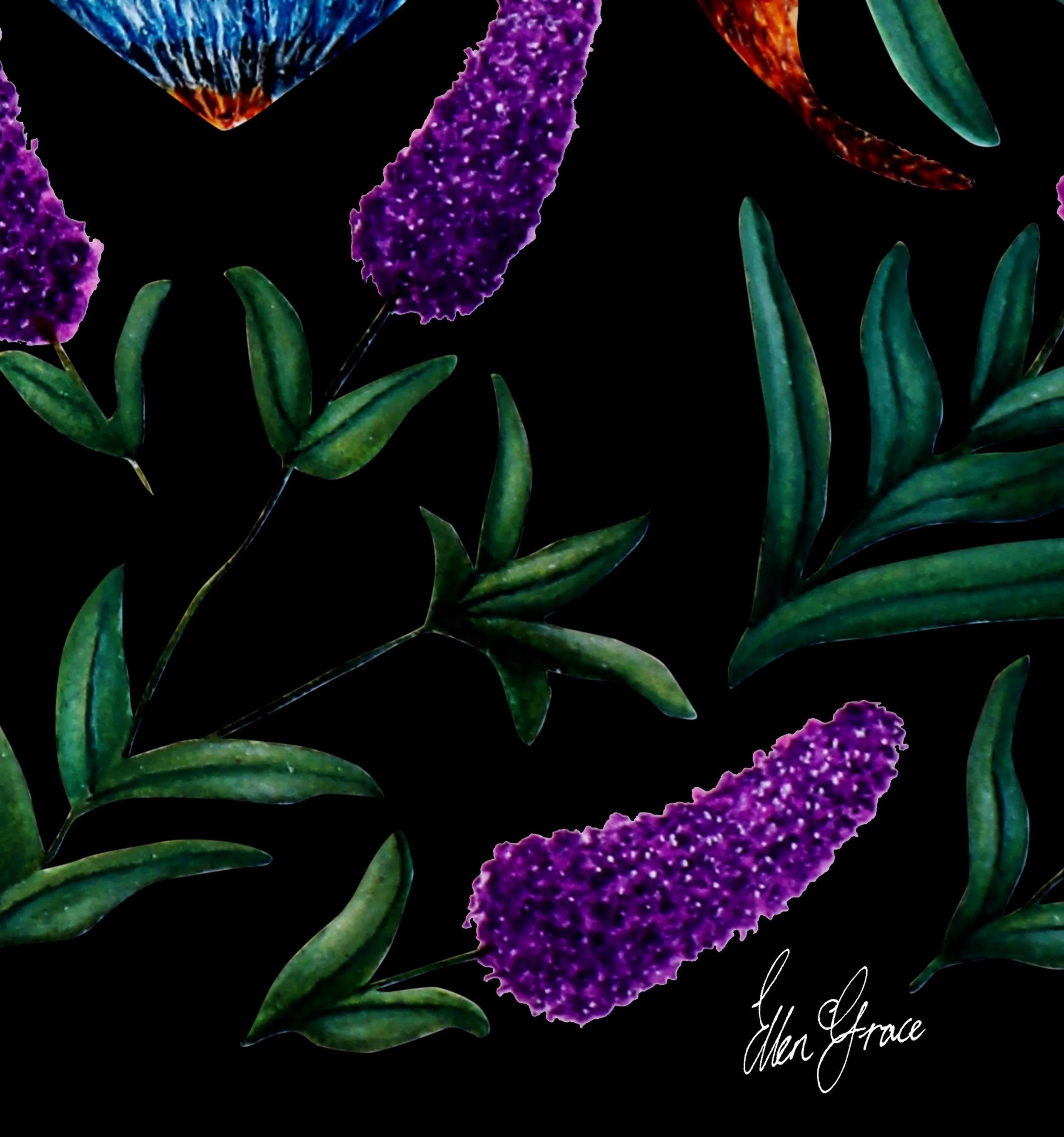 Close up of a detailed illustration of a bee surrounded by lavender flowers and green leaves on a black background.