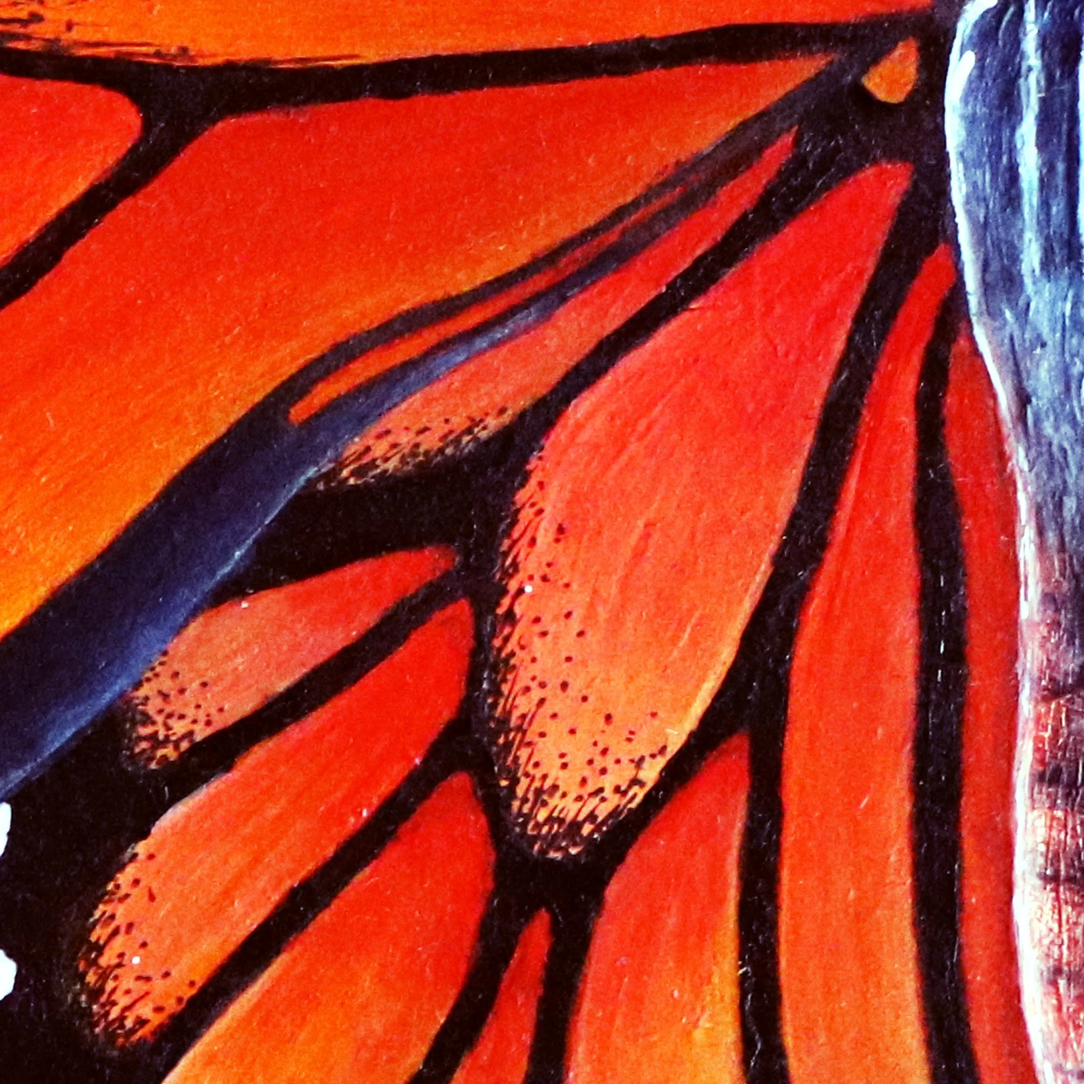 Close up shot of Fine art print of a Monarch Butterfly with vivid orange and black wings on black.