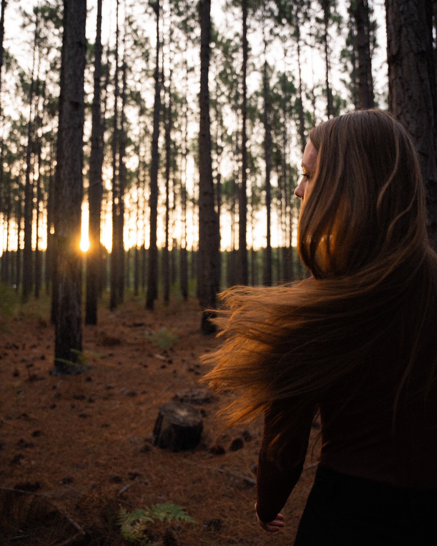 true light dances 
beneath the surface. 

#sunshinecoast #beerwahstateforest #sunshinecoastphotographer #riverweepers #riverweepersphotography #brisbanephotographer #forest #forestphotography