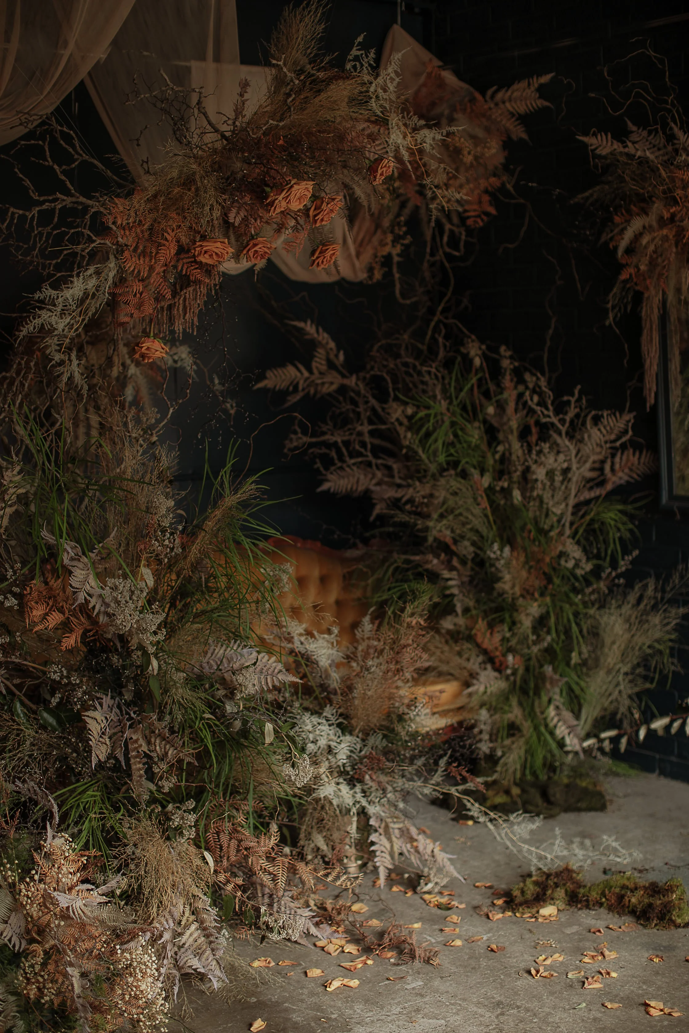 The Enchanted Forest