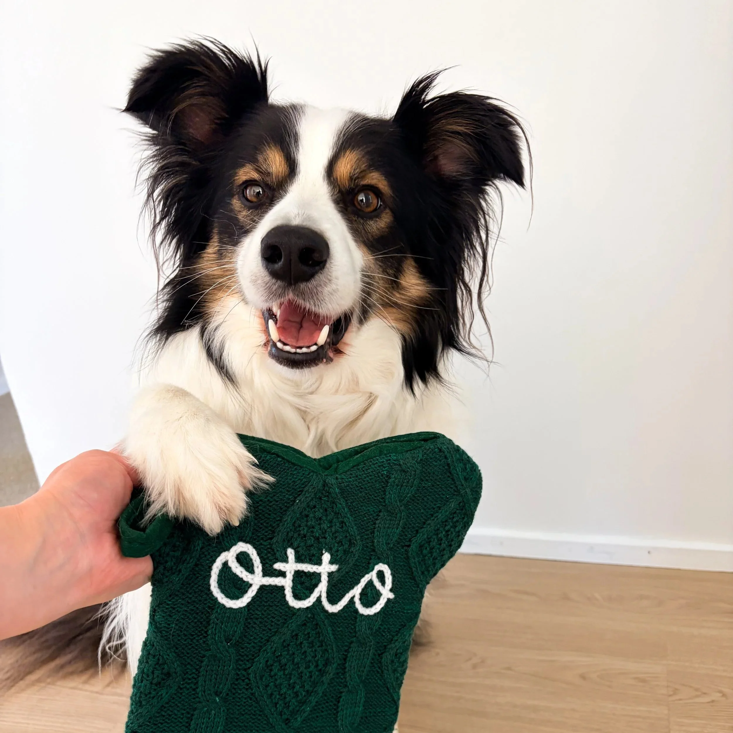 Pet Embroidered Christmas Stockings - Green