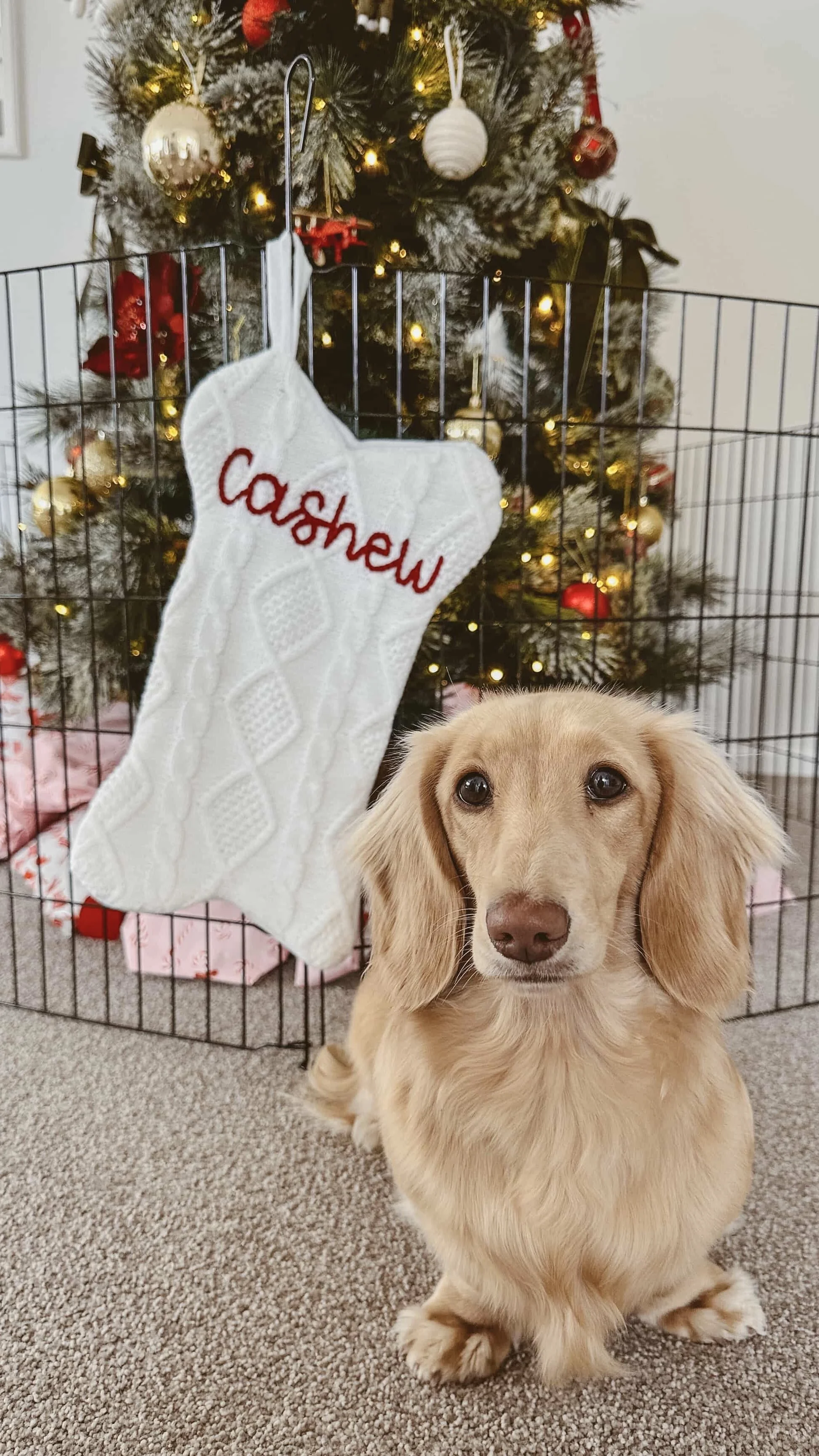 Pet Embroidered Christmas Stockings - White