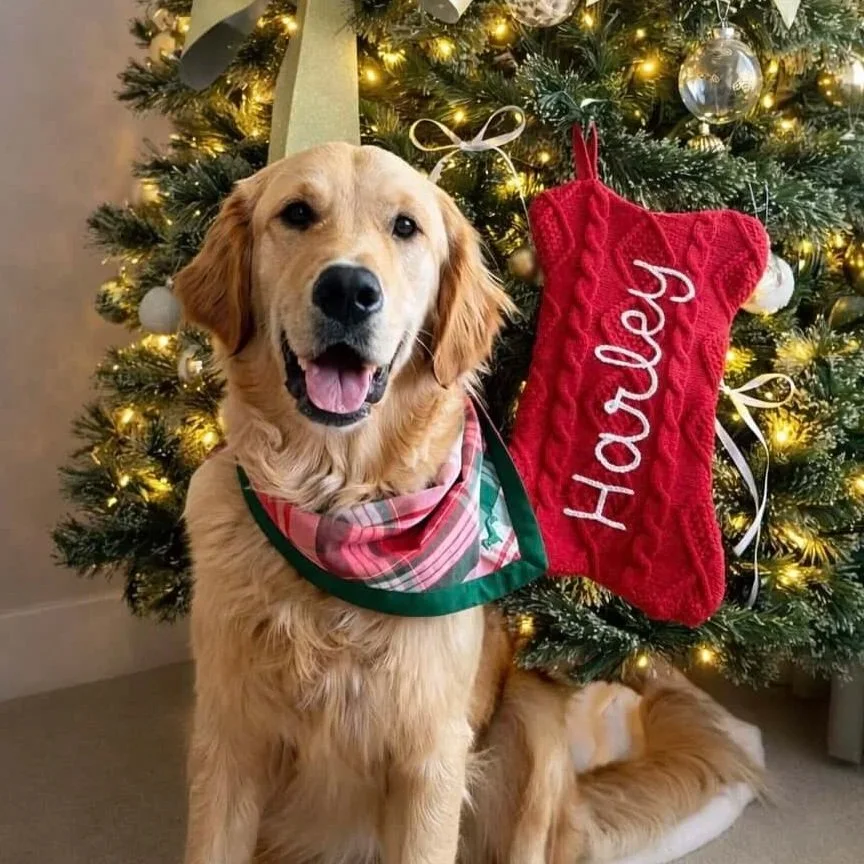 Pet Embroidered Christmas Stockings - Bright Red