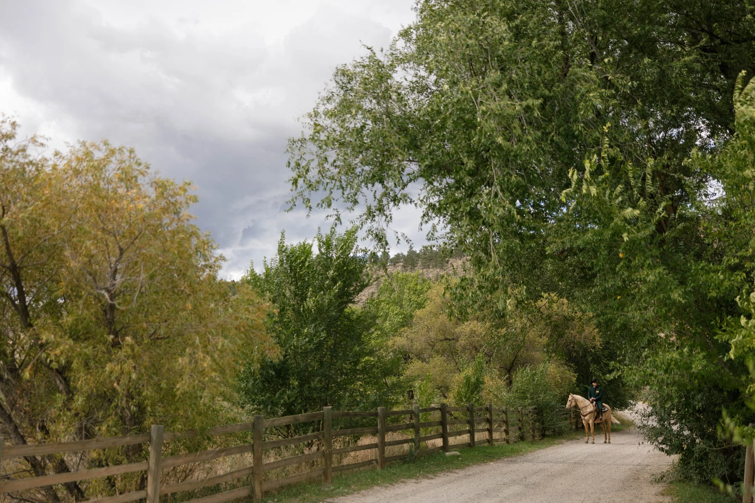 A person riding a horse along a dirt path lined with trees and a wooden fence, under a cloudy sky.