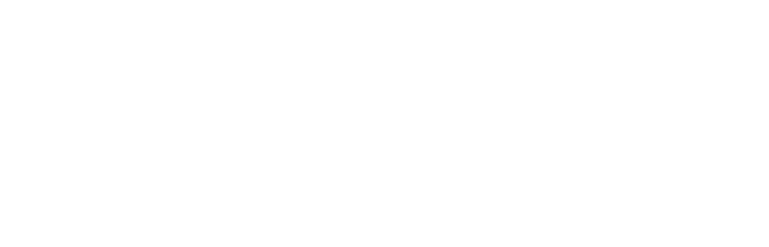 NSWGov_OCSE_Logo_CMYK_Primary_white 2.png
