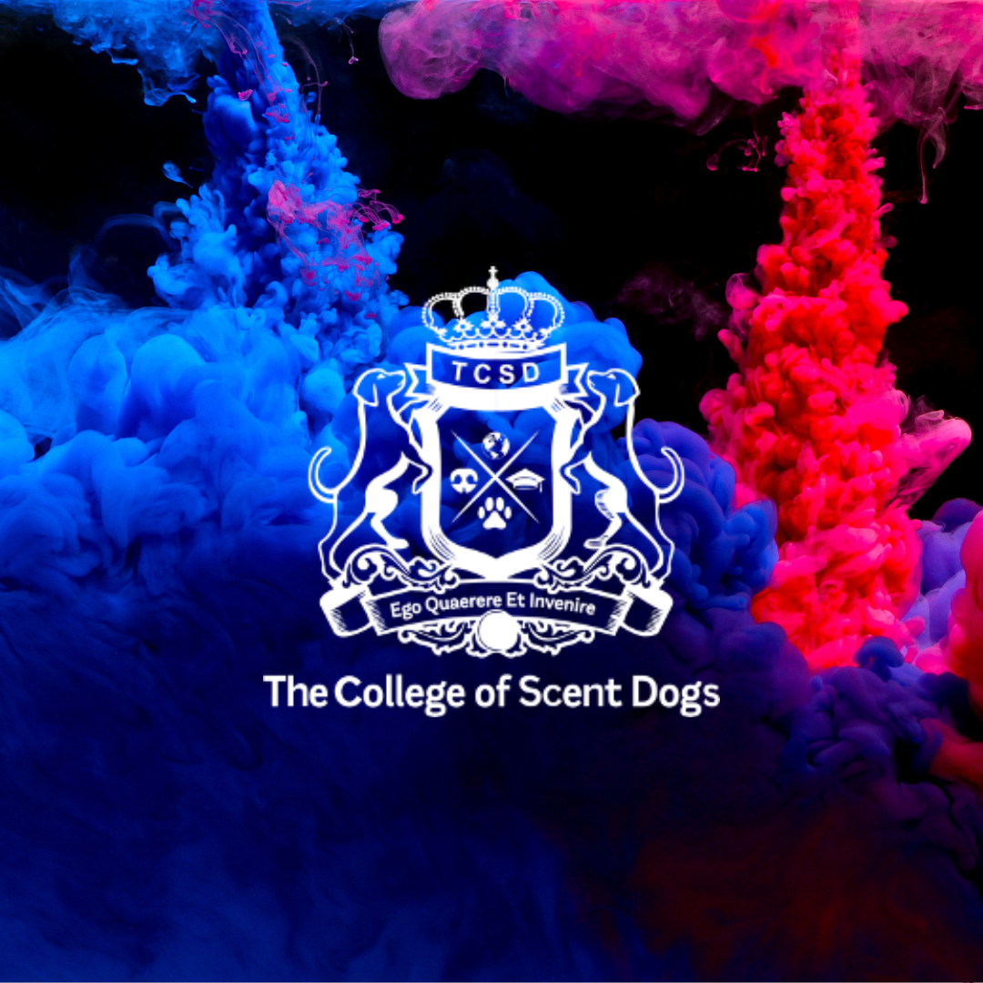 A colorful background with blue and pink ink clouds and a logo in the center that features a crown, two lions, and various symbols, along with the text "TCSD" and "The College of Scent Dogs."