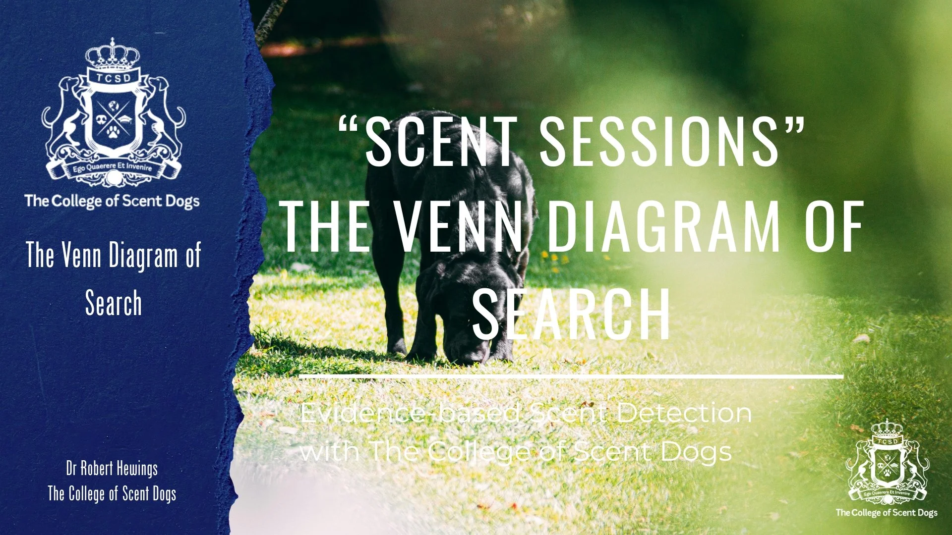 Scent Sessions: The Venn Diagram.