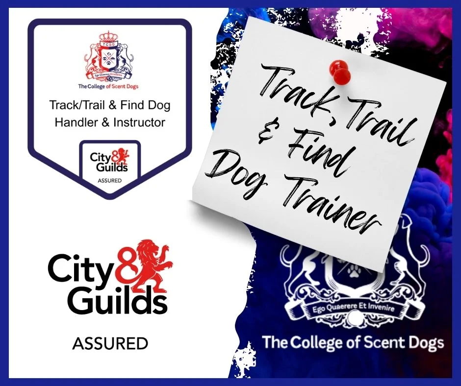 A digital collage of promotional materials for The College of Scent Dogs. Features an emblem with a shield and crown, a note pinning the title "The Tracking Dog Trainer," and a logo with a lion and the text "City & Guilds ASSURED."