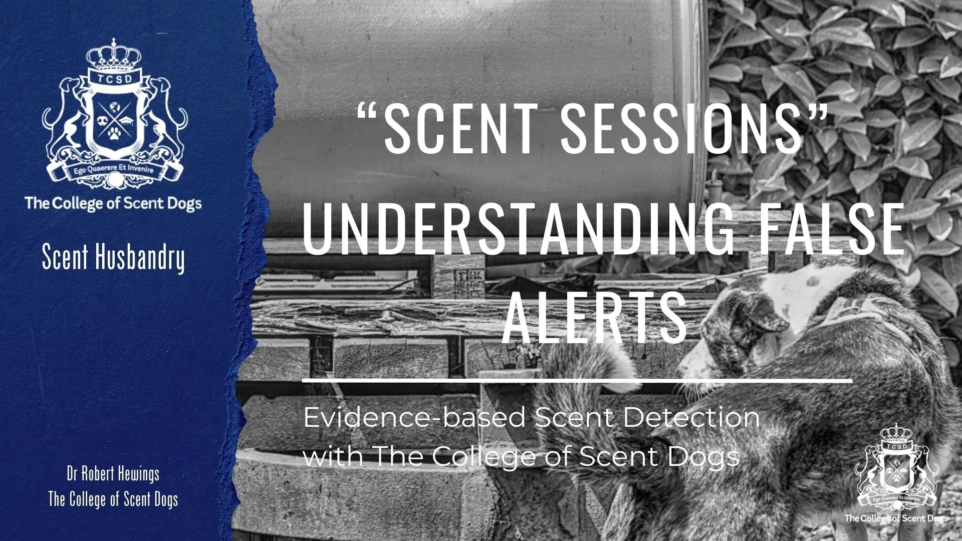 Understanding False Alerts: Scent Husbandry