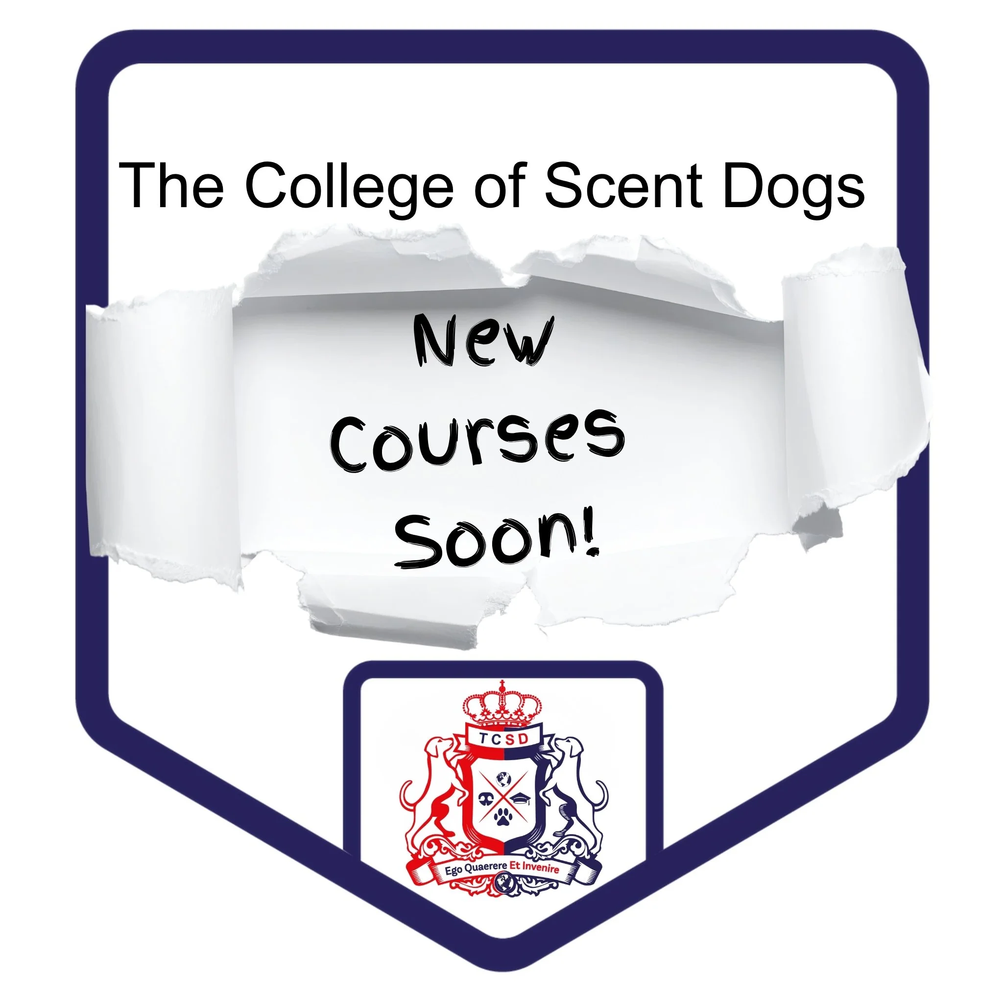 A digital collage of promotional materials for The College of Scent Dogs. Features an emblem with a shield and crown, a note pinning the title "The Mantrailing Dog Trainer," and a logo with a lion and the text "City & Guilds ASSURED."