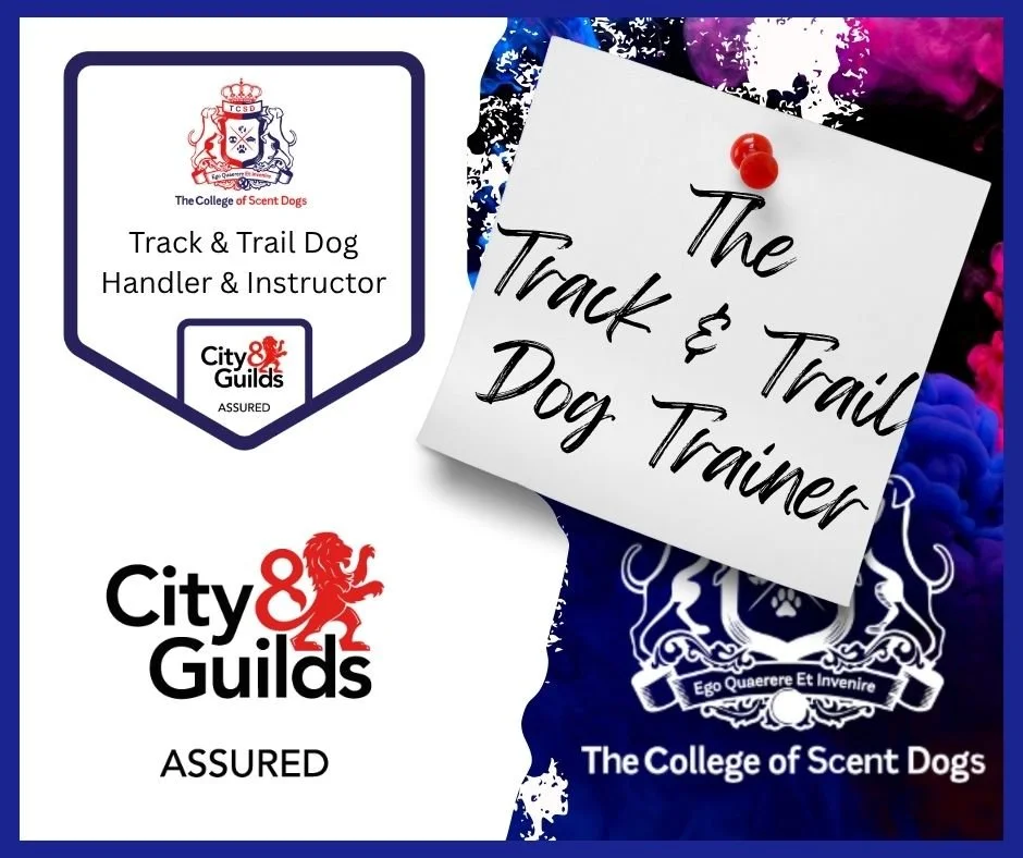 City & Guilds Assured Caning Tracking with the college of scent dogs
