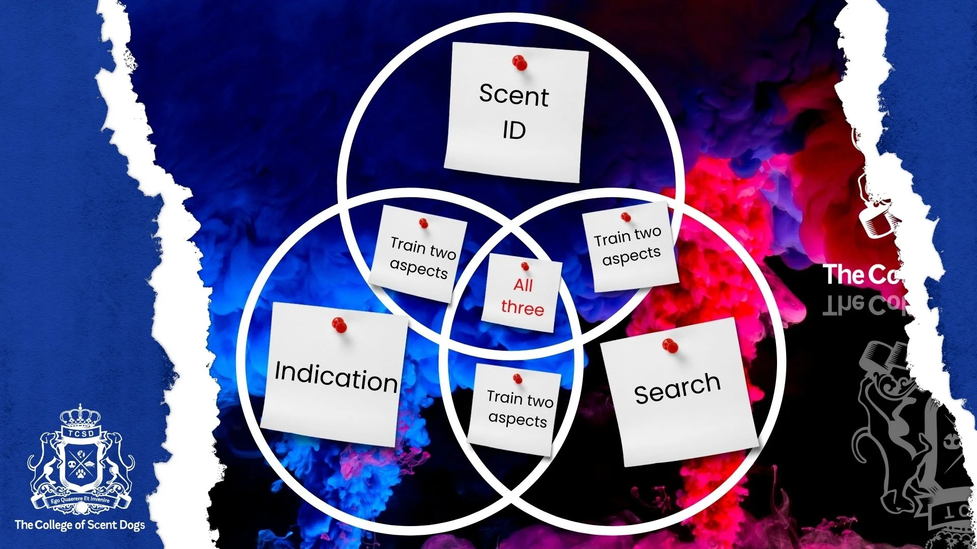 Image Venn Diagram (2).jpg