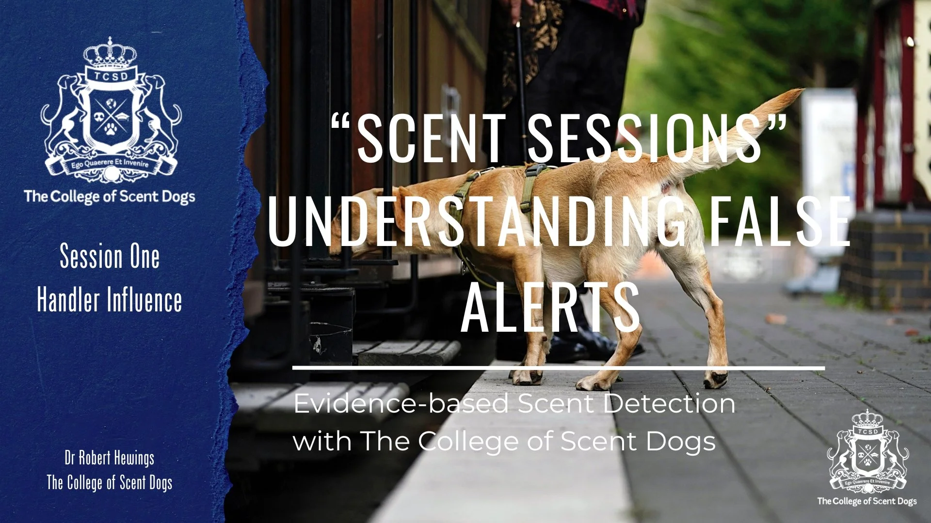 Understanding False Alerts: Clever Hans