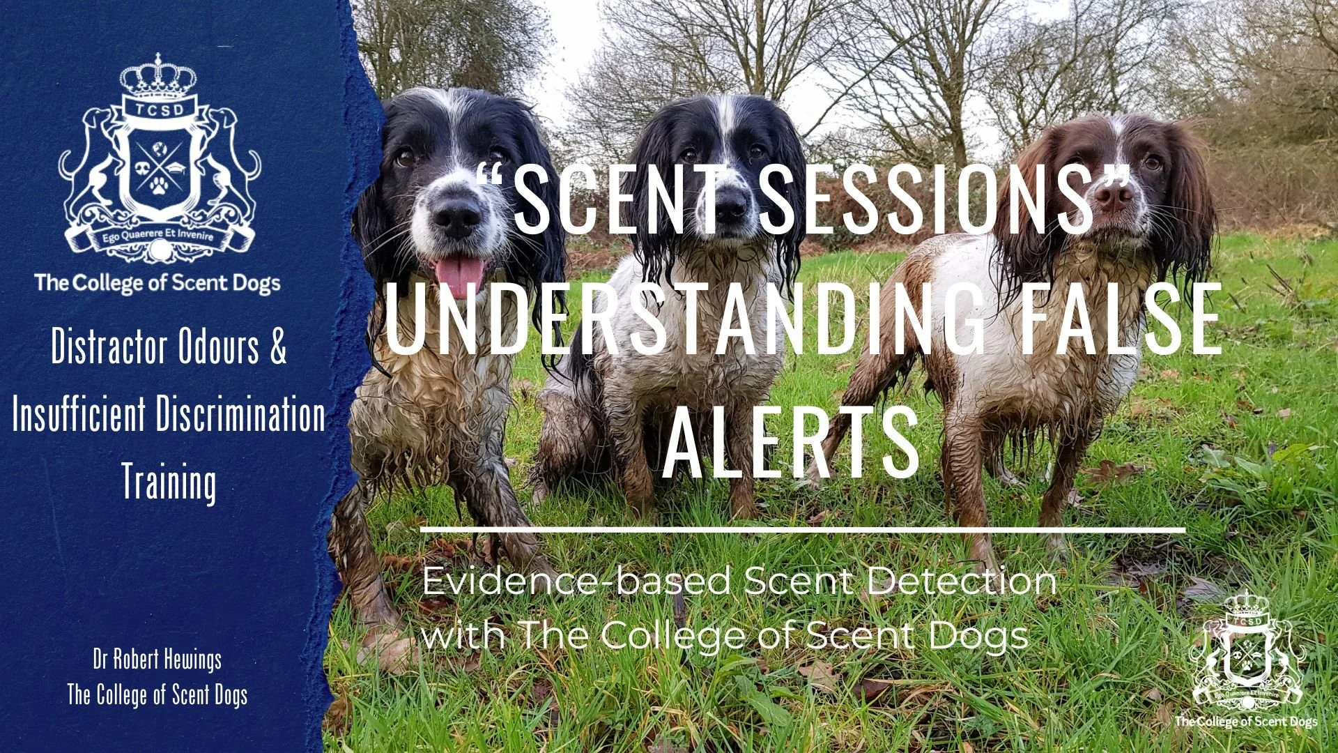 Understanding False Alerts.jpg