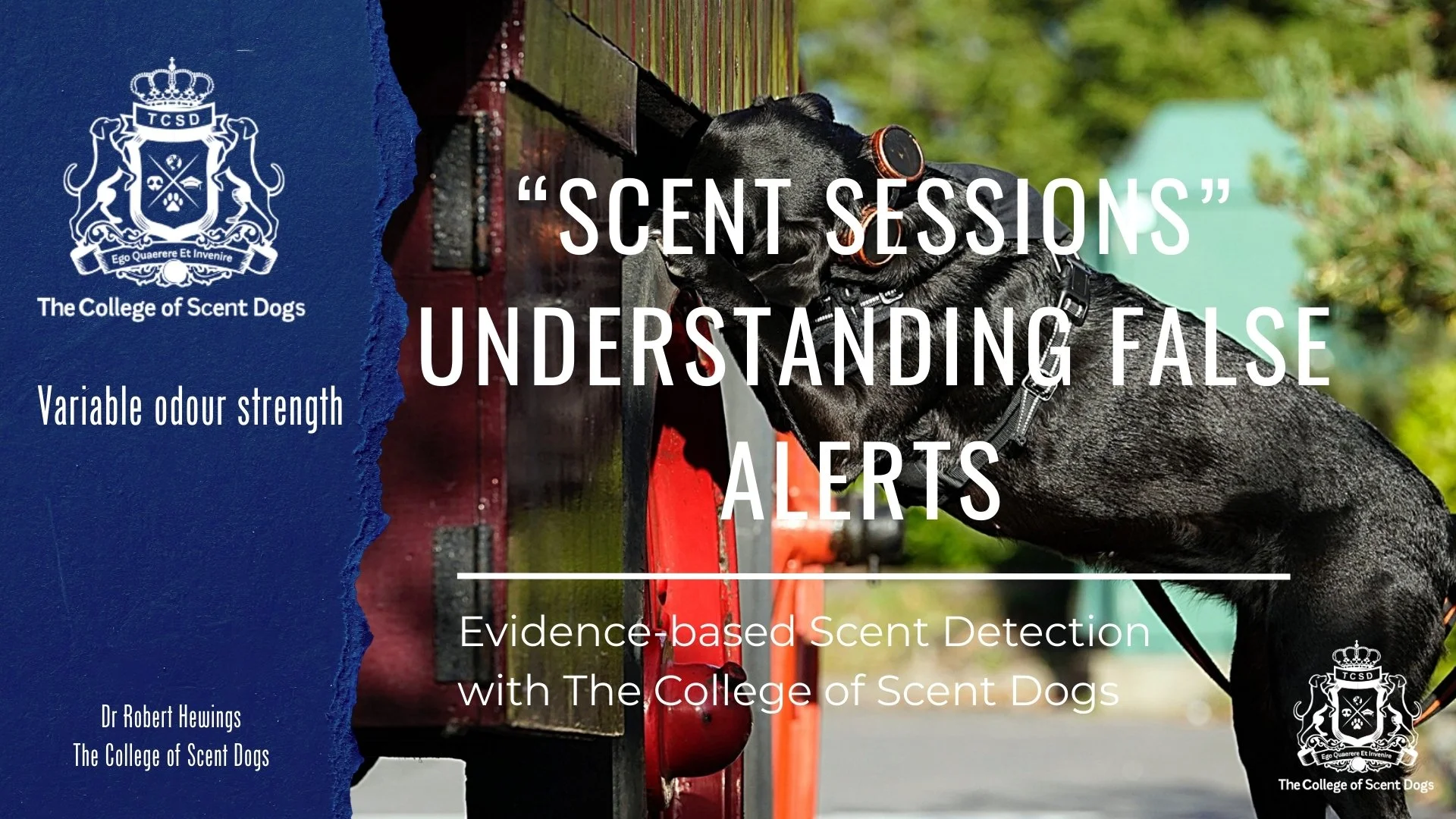 Understanding False Alerts: Variable Odour