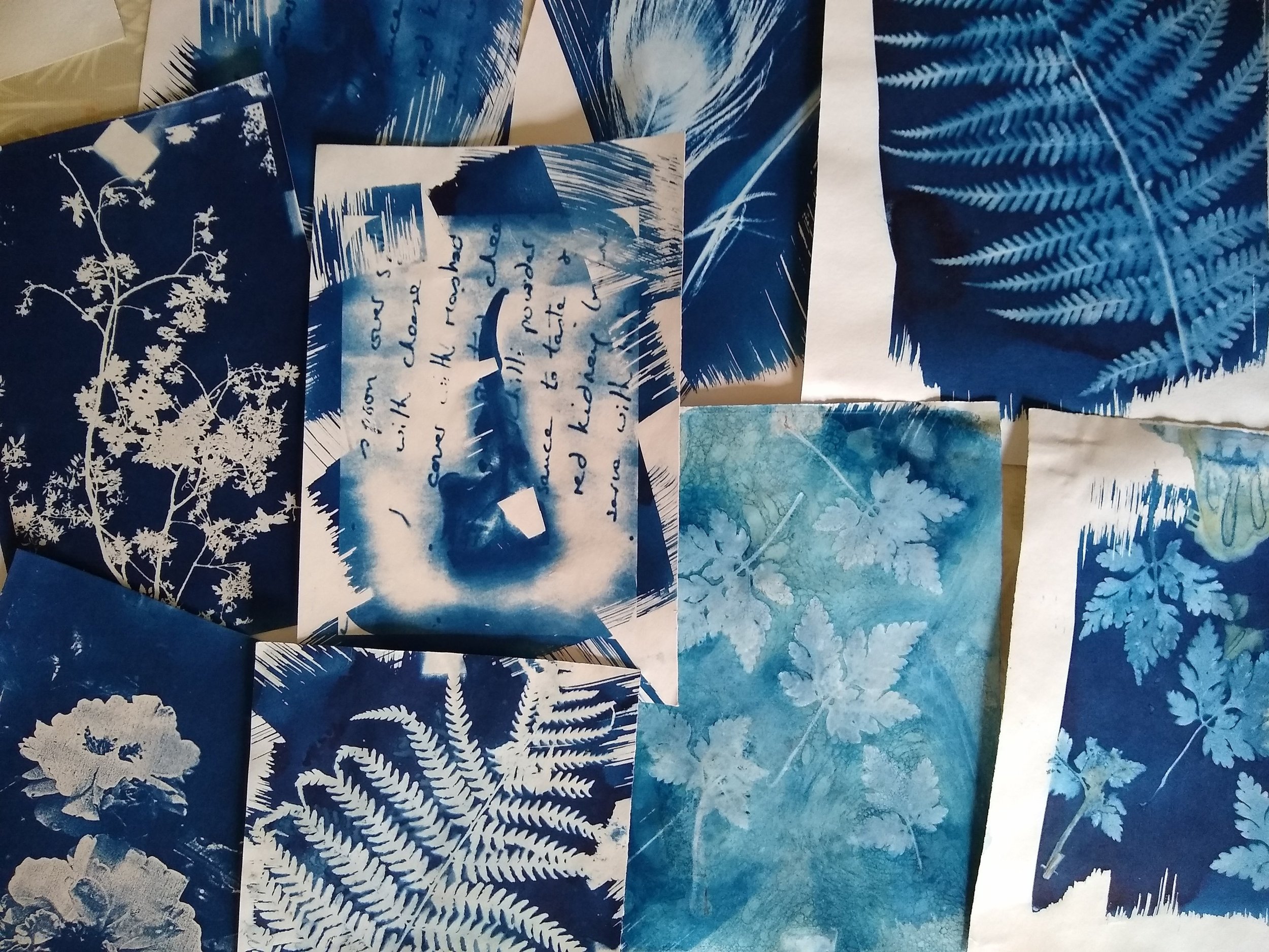 5 simple steps for getting started with Cyanotype printing — Kate Watkins