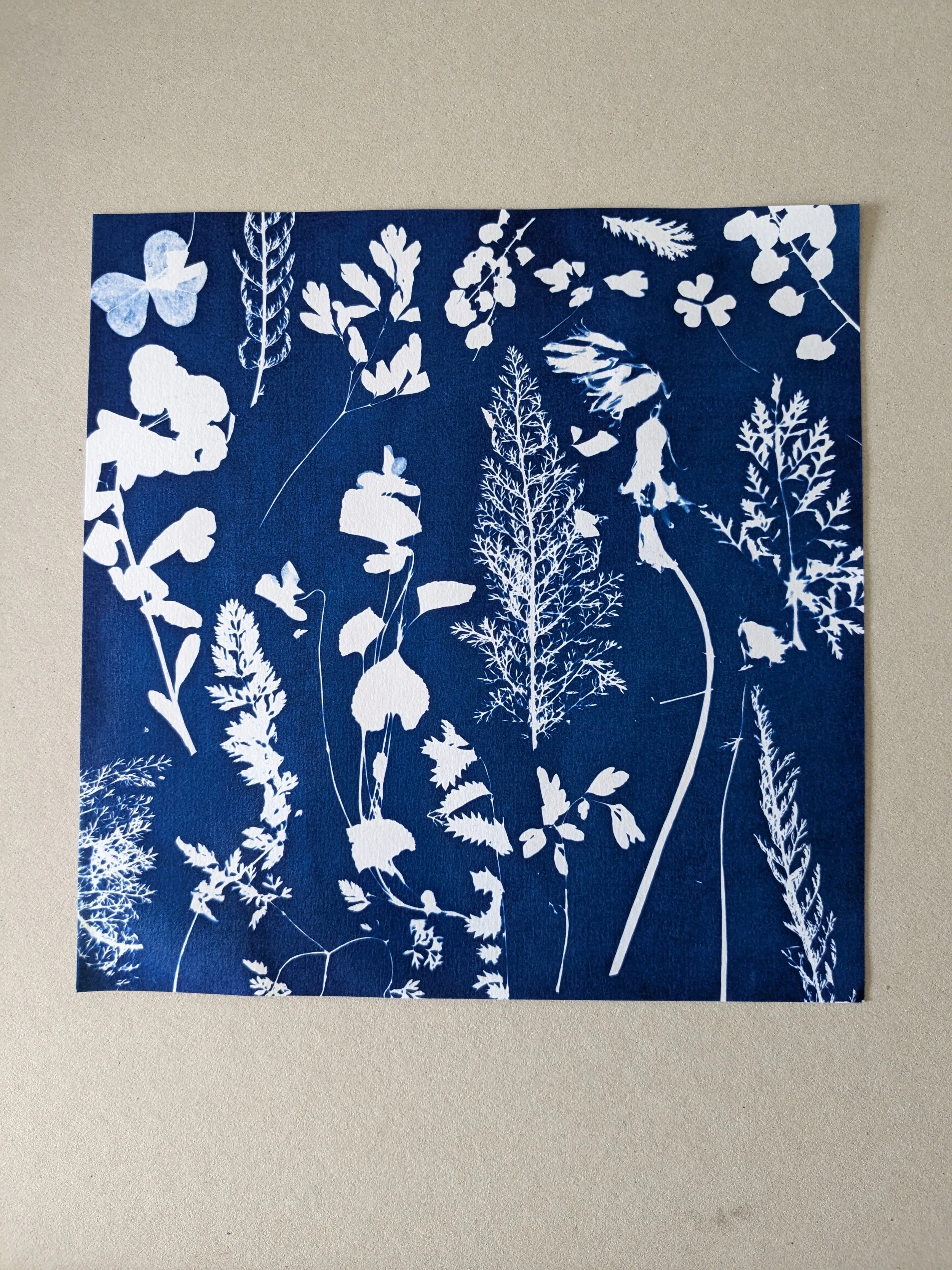 K Watkins cyanotype.jpg