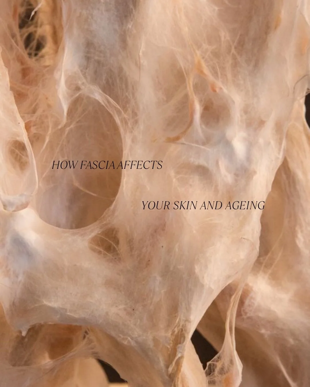 Fascia is one of the most overlooked factors in skin health and ageing.

When fascia becomes tight or restricted, it can affect circulation, lymphatic flow, muscle tension and the way the skin sits on the face. This may contribute to puffiness, dulln