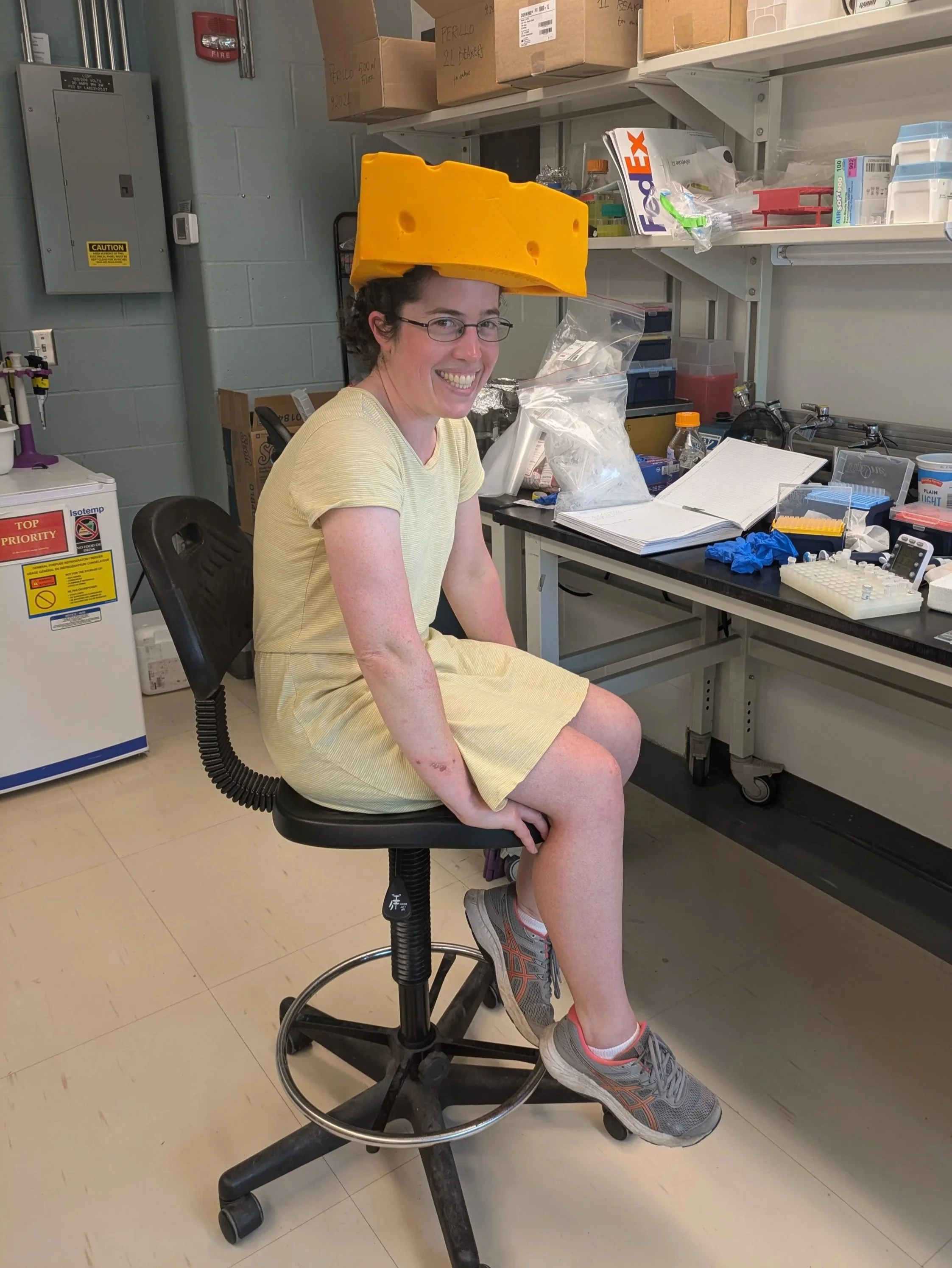 Beverly is awarded a postdoctoral fellowship