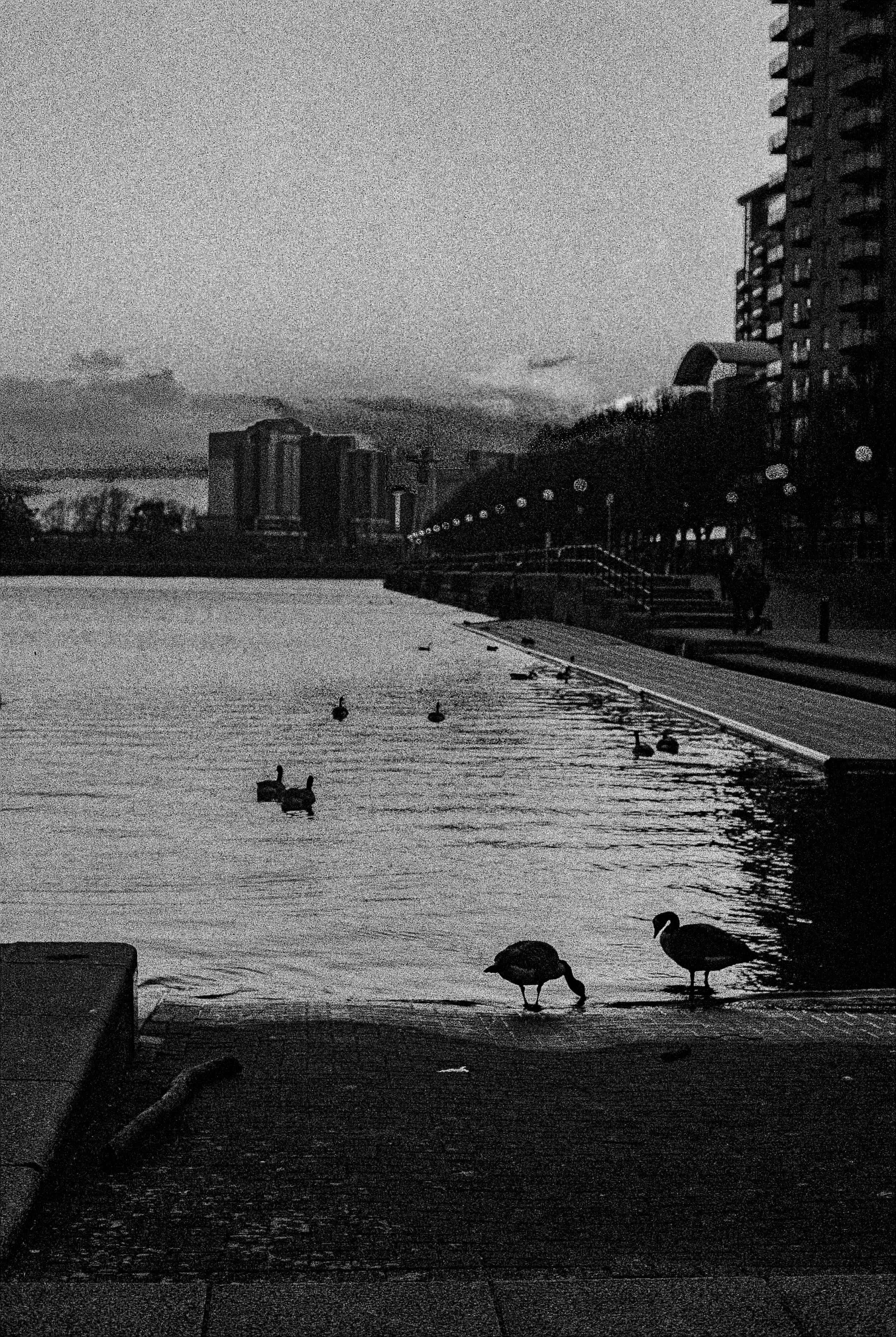 canalsalford.jpg