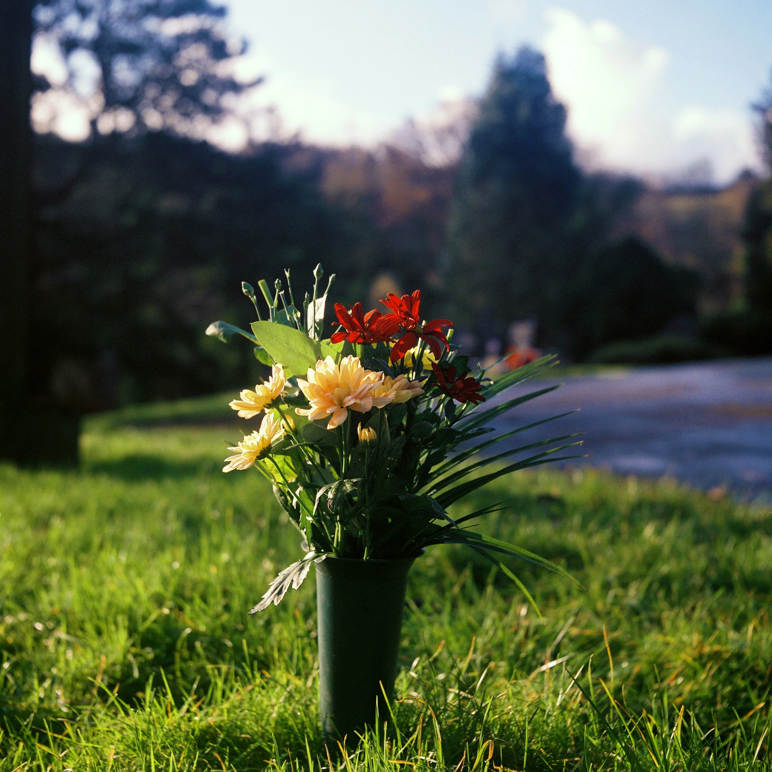 flowers.jpg