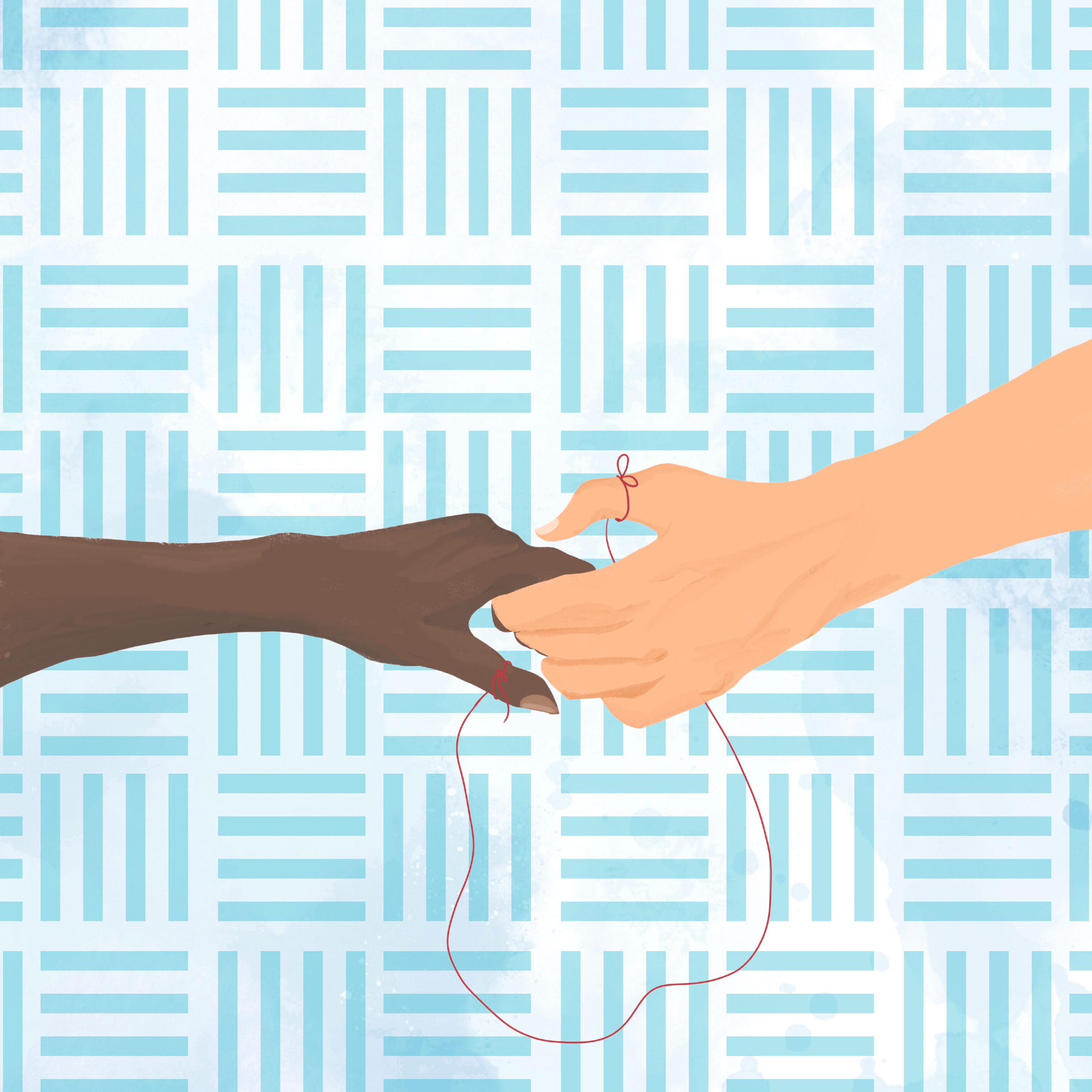 Three Tools for Healthy Relationships: Boundaries, Compassion and Detachment 