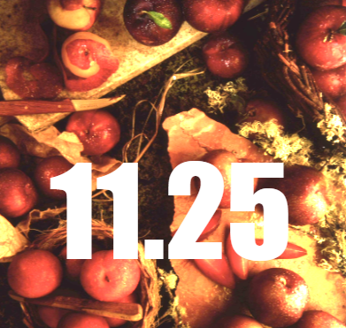 Issue 11.25 ~ poems of address, apology &amp; advice