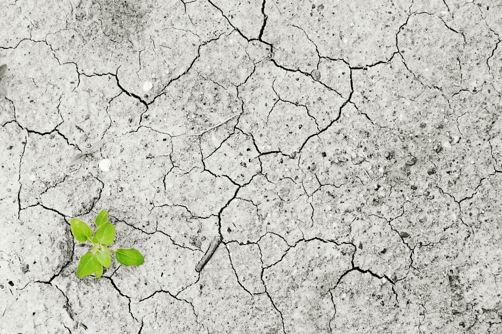 WORKSHOP 2 | CLIMATE, DEATH & (MENTAL) WELLBEING