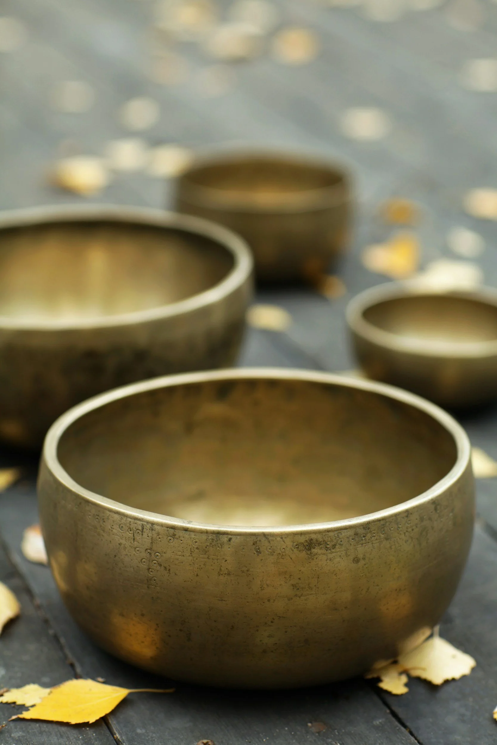 Four brass singing bowls of varying sizes arranged on a dark wooden surface with fallen yellow leaves around.